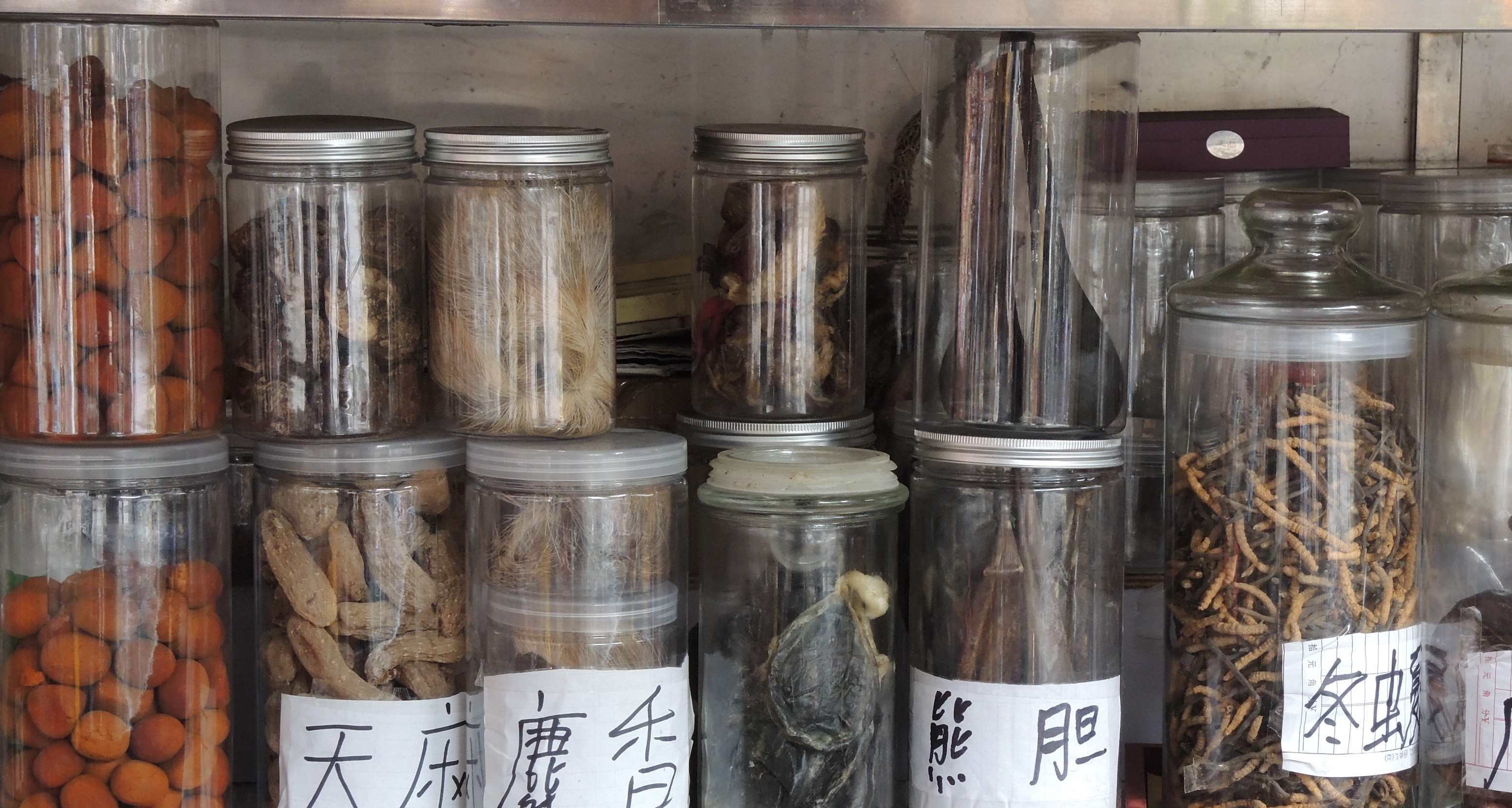 Building sustainability into the Belt and Road Initiative’s Traditional Chinese Medicine trade