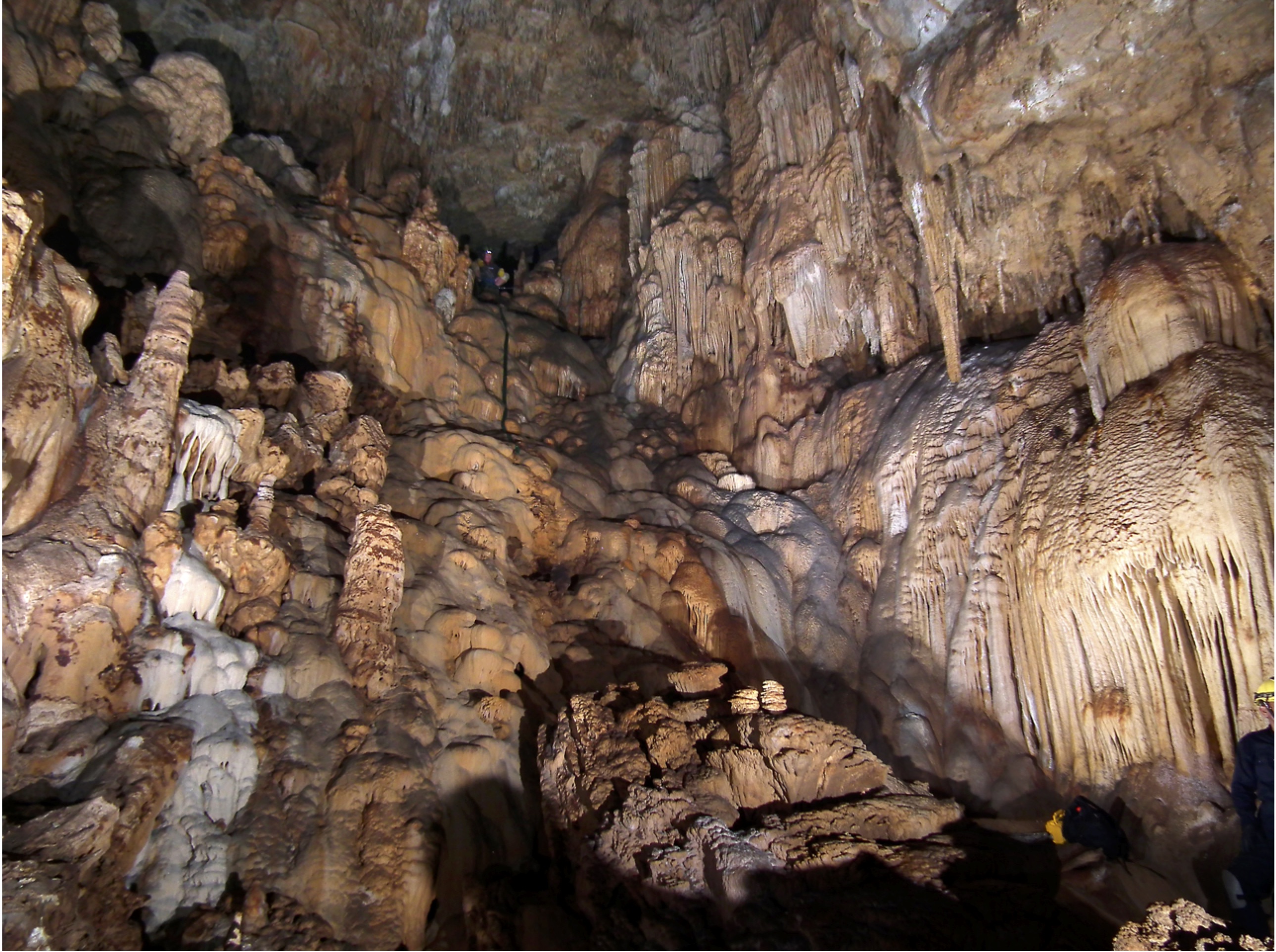 Coeval stalagmites confirm large glacial-interglacial swings in Sulawesi rainfall 