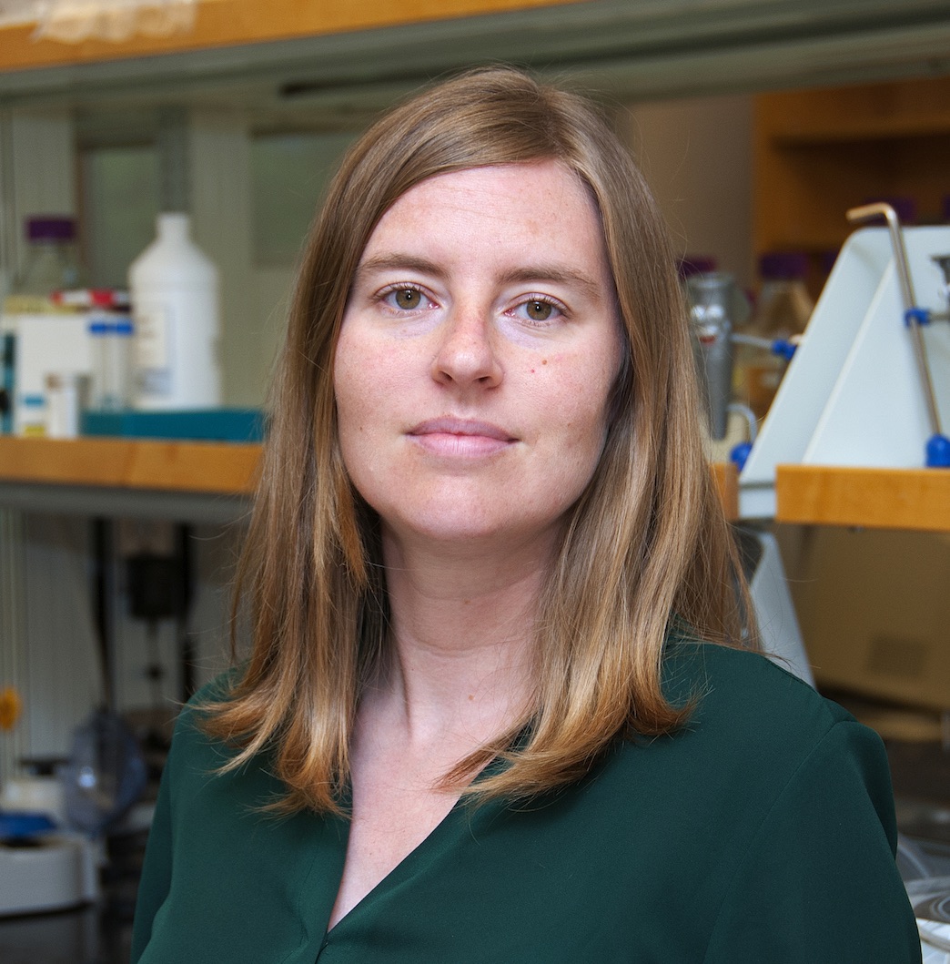 Go to the profile of Christina Warinner