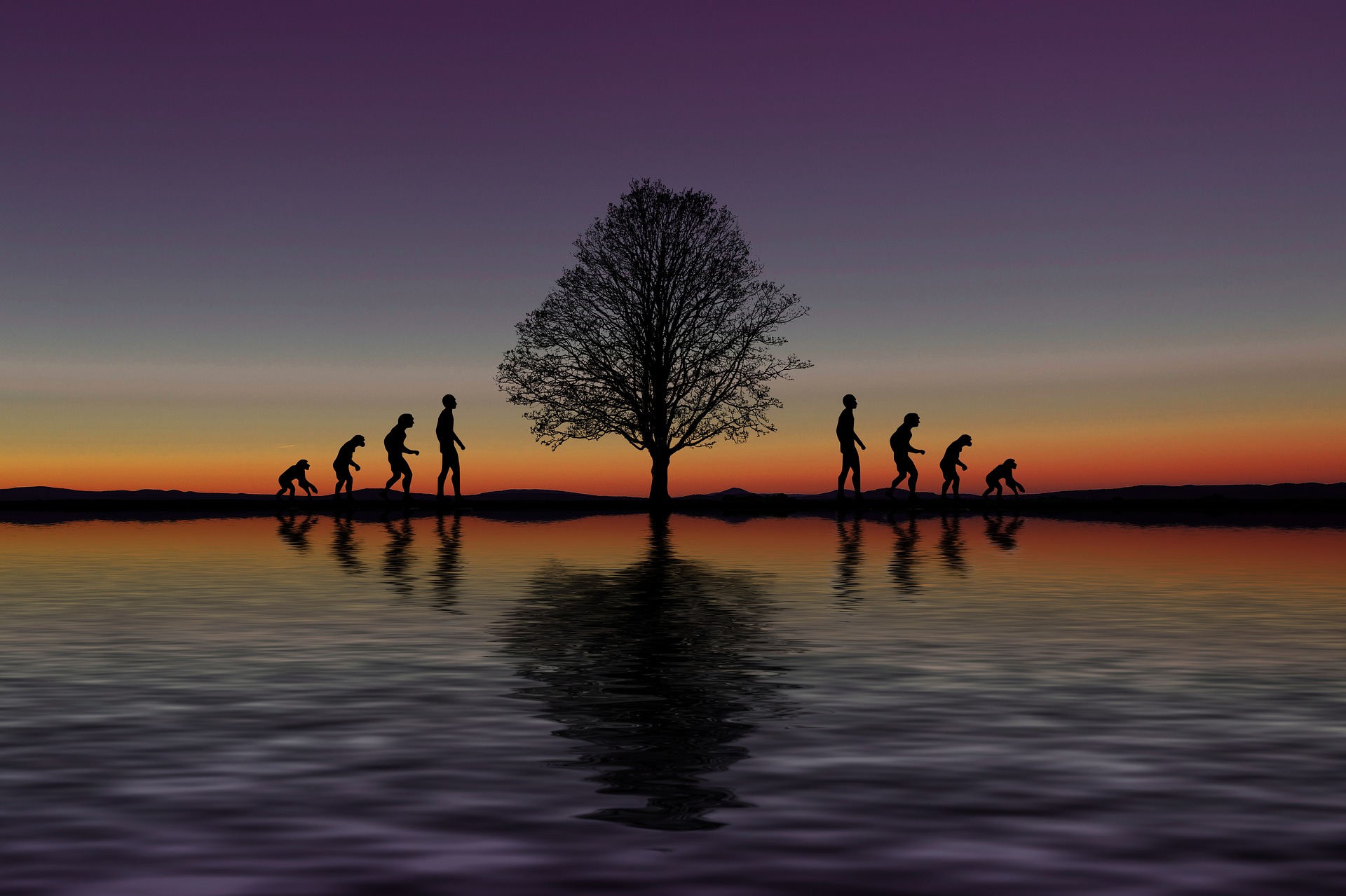 Teaching in evolution