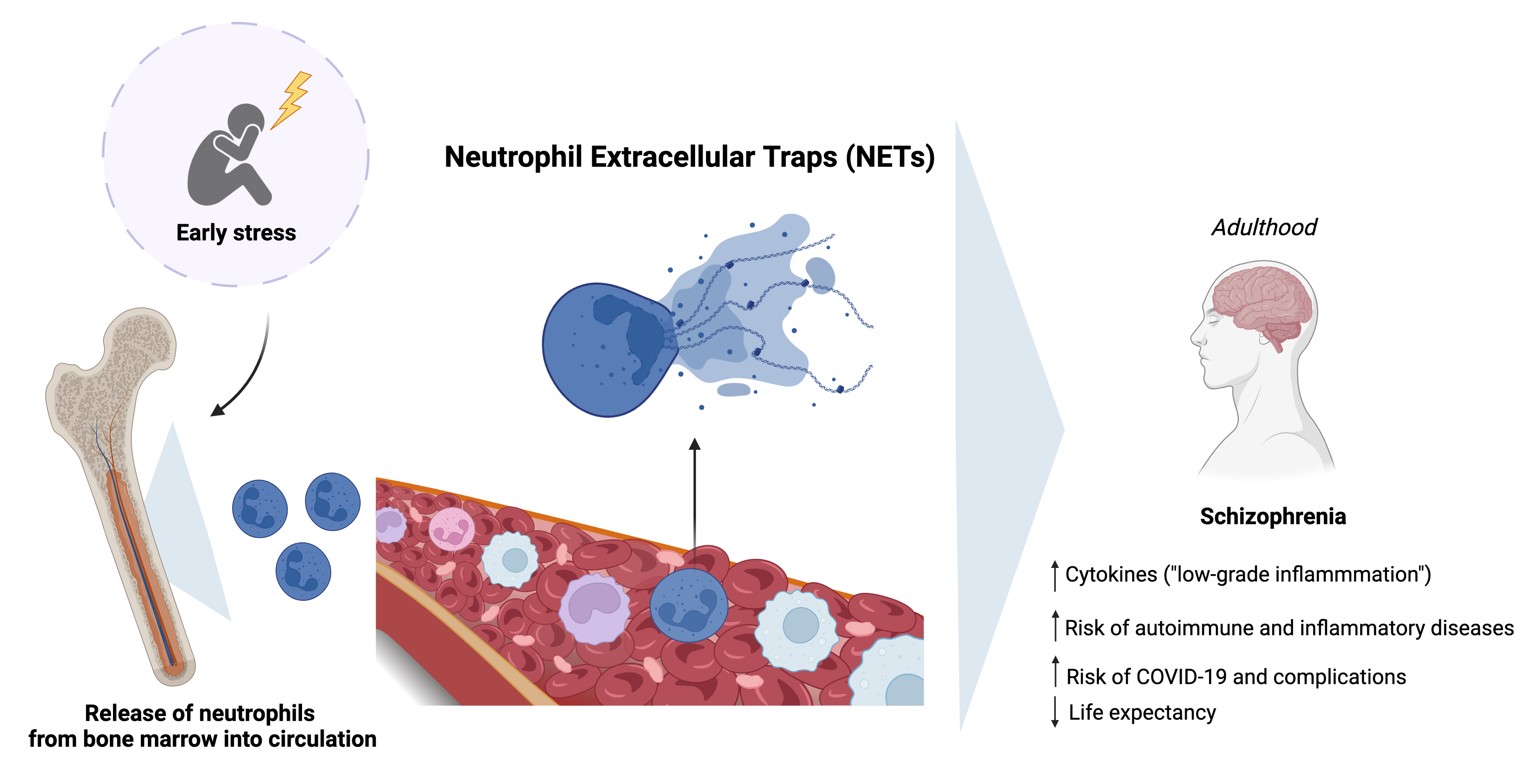 It is a trap!  Neutrophil extracellular traps join the neuroinflammatory puzzle in schizophrenia