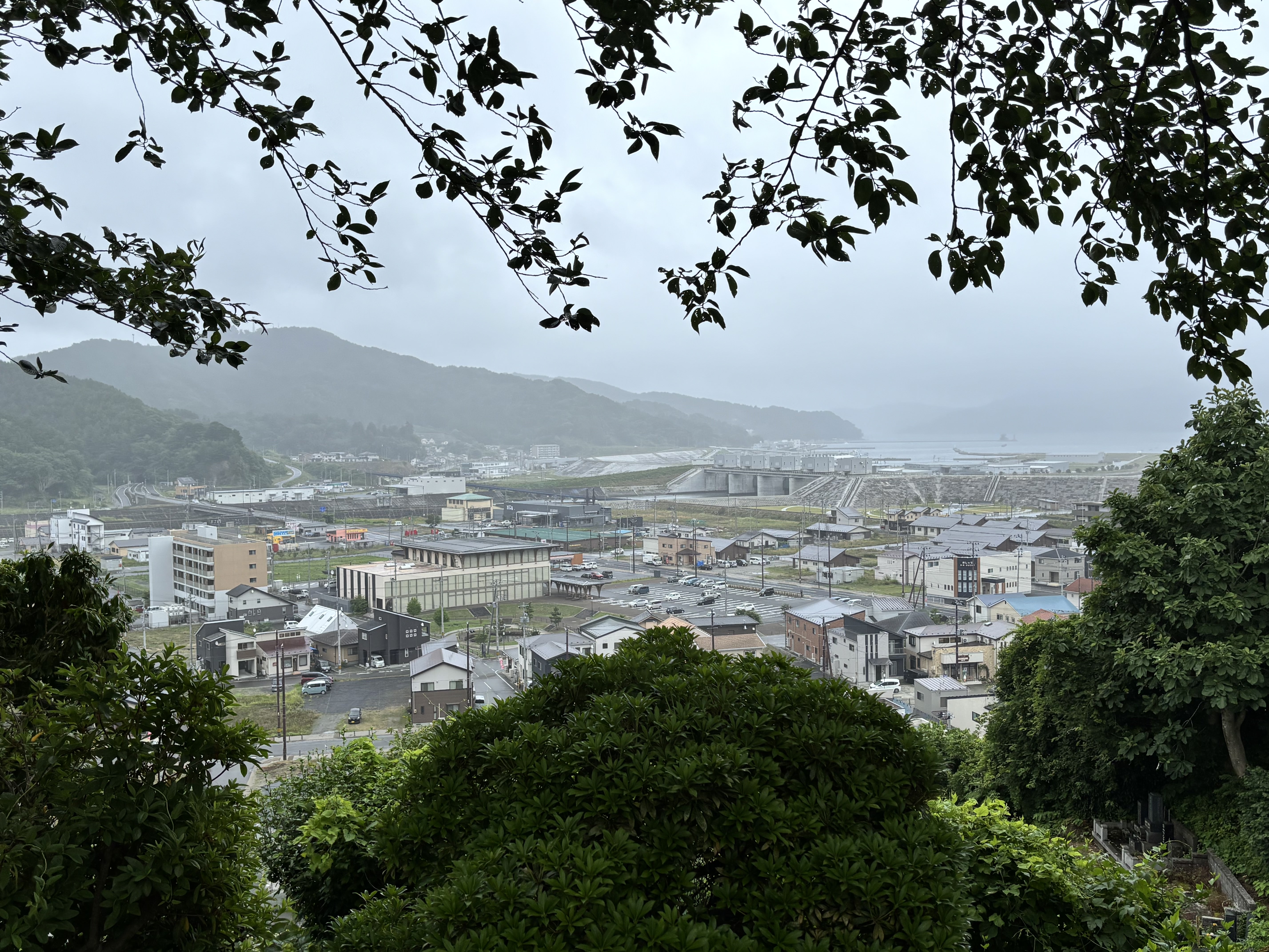 A Bittersweet Farewell | Week 6 of My LiA in Otsuchi, Japan