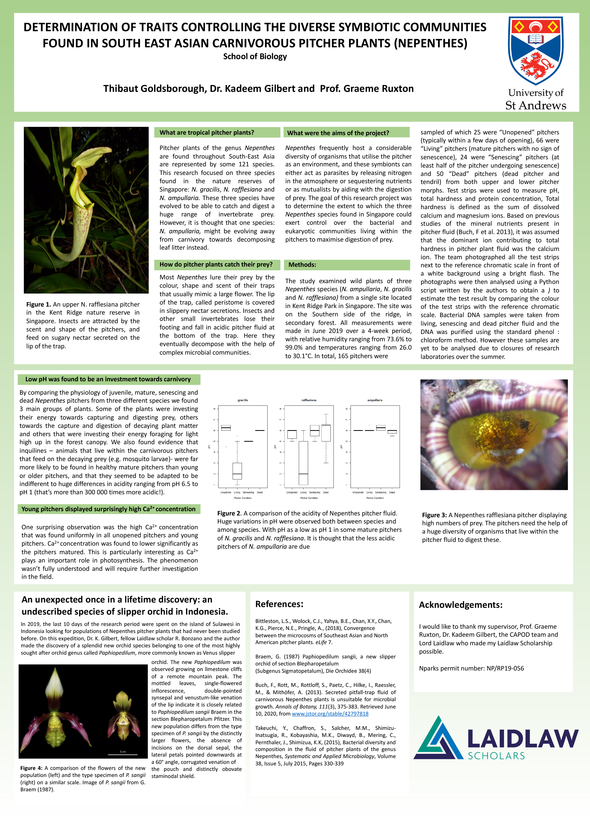 Carnivorous Pitcher Plants of South-East Asia