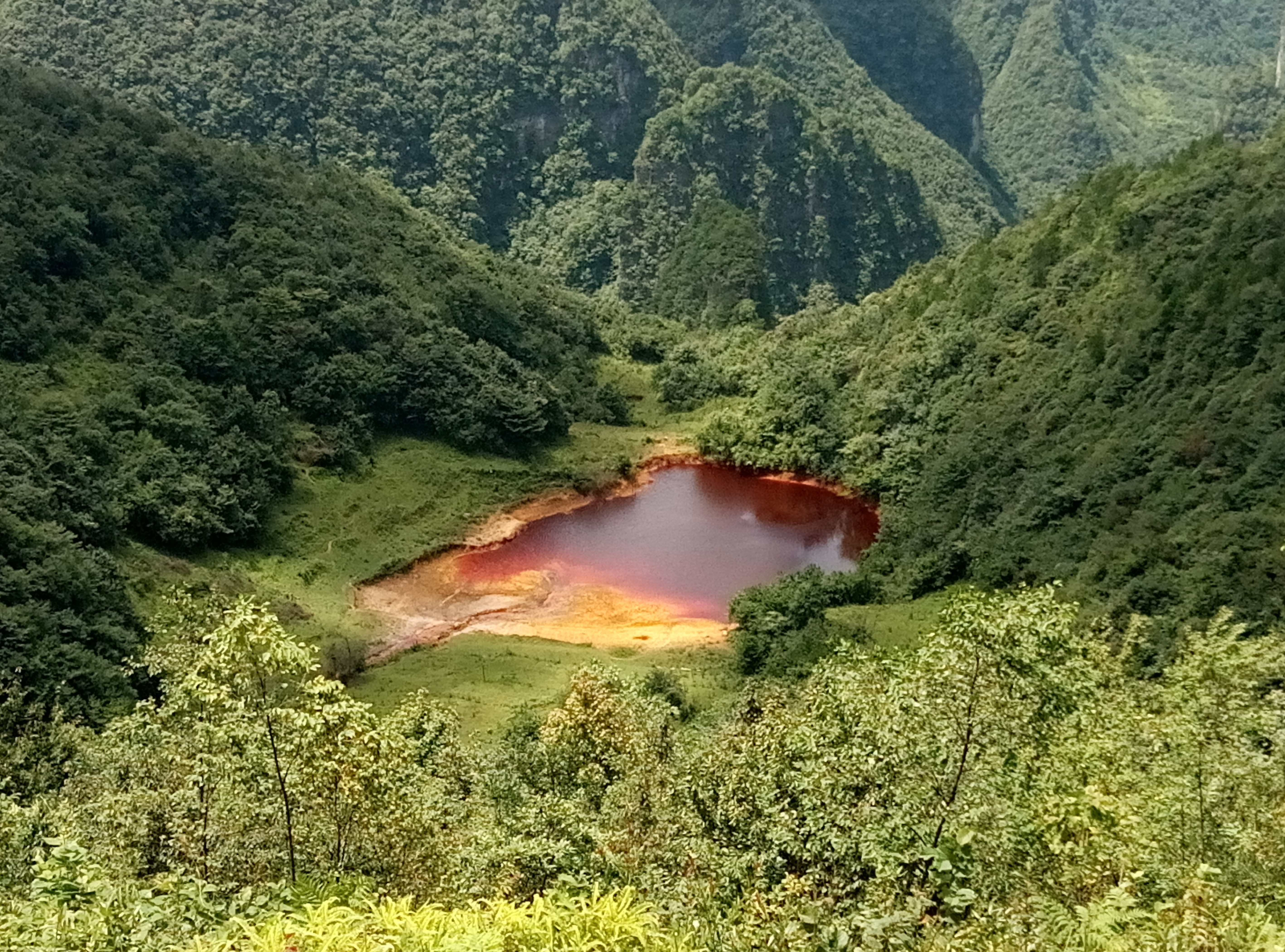 The Enigmatic Triangle in Acid Mine Drainage Sediments: Virus, Host and the Environment
