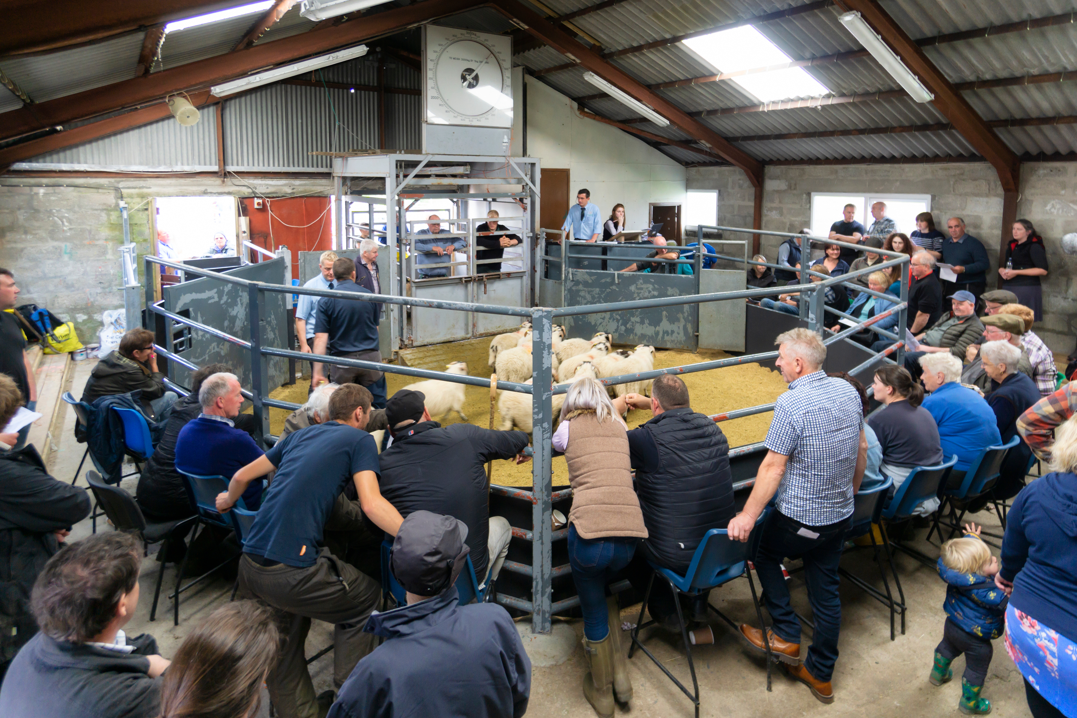 Pharmacy helps farmers get fitter
