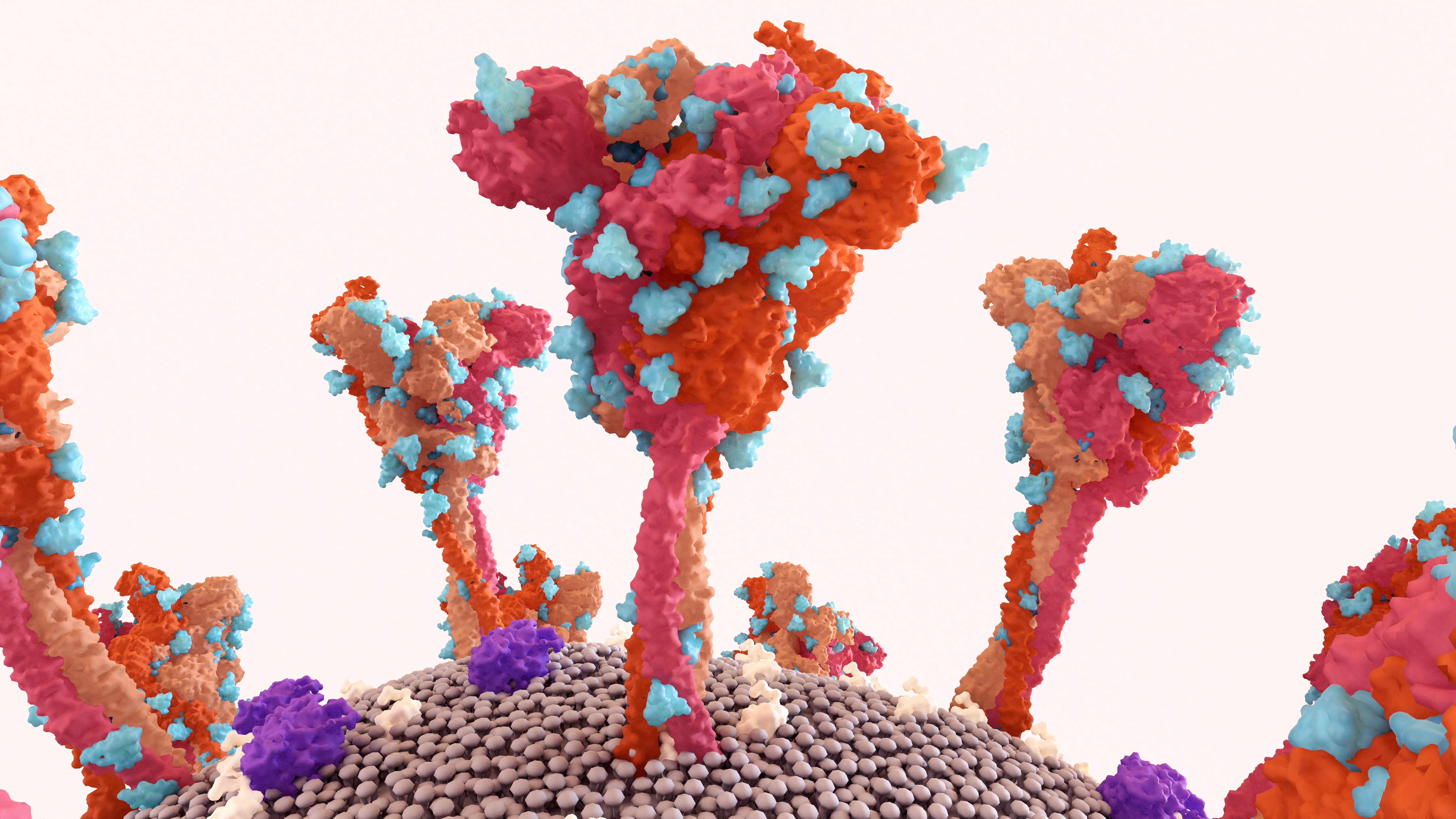 Upcoming FEBS Open Bio Webinar: The structures of SARS-CoV-2 proteins