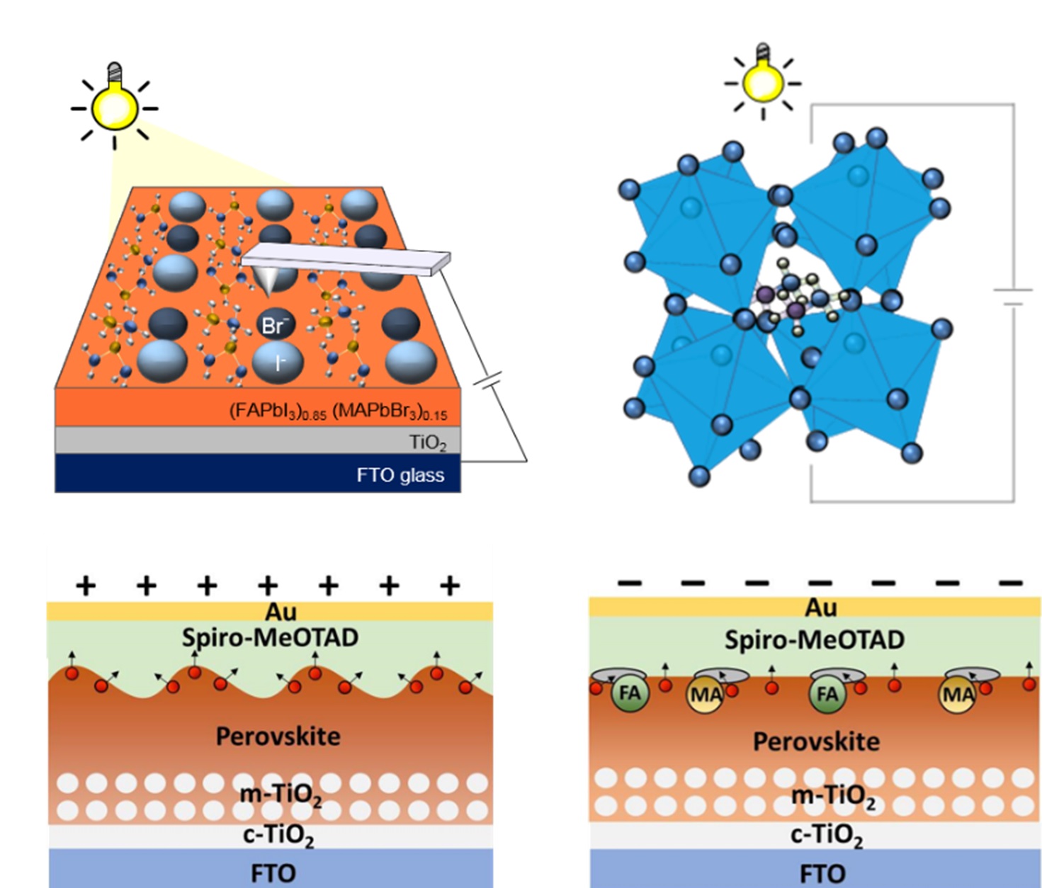Light- and bias-induced structural variations in metal halide perovskites