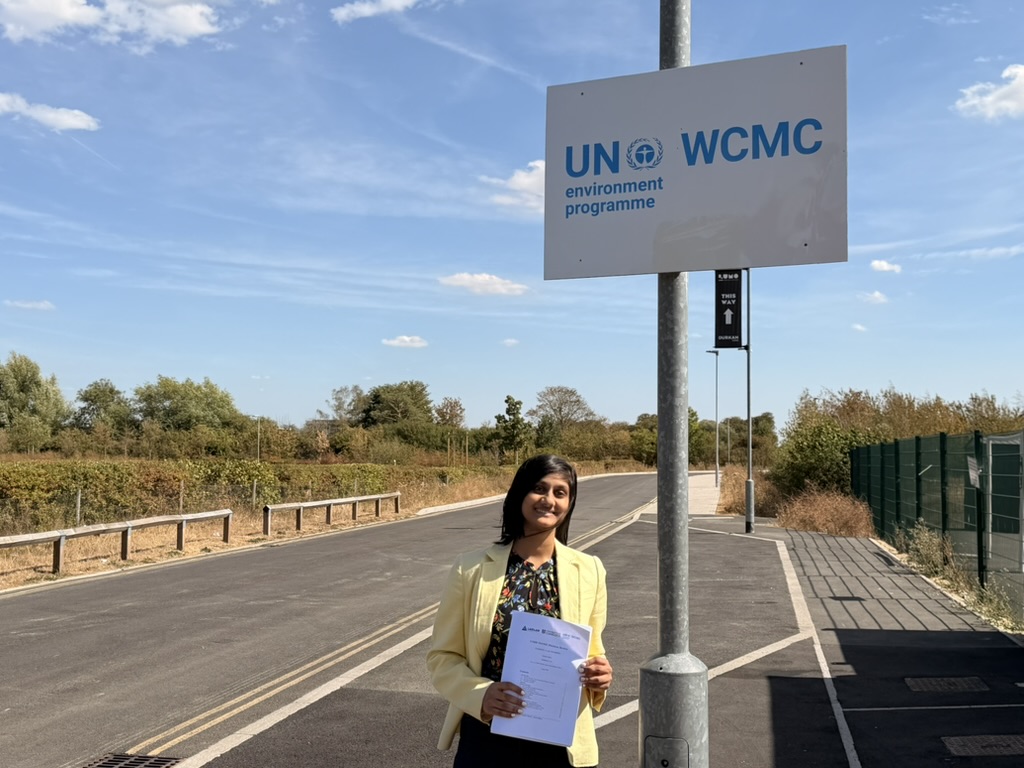Reflections on interning at the United Nations Environment Programme