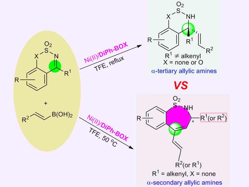 Ni(II)-catalyzed asymmetric alkenylations of ketimines:  similar reactions, different results