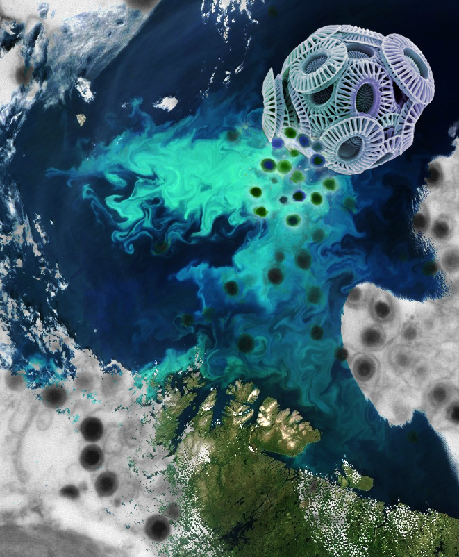 Viruses that lubricate ocean carbon flux