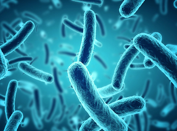 Community matters: lung microbiome and COPD