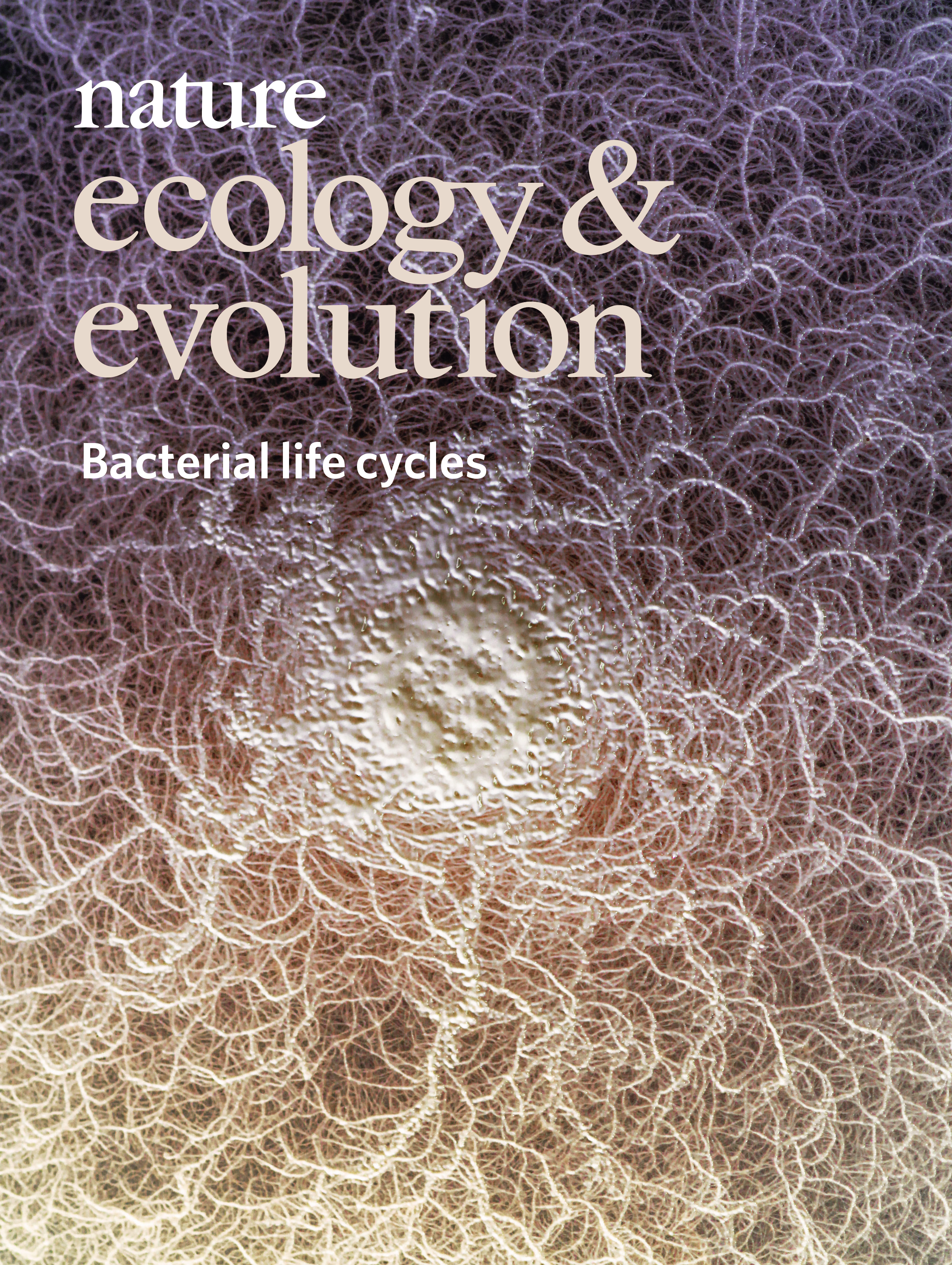 Gallery | August 2019 cover