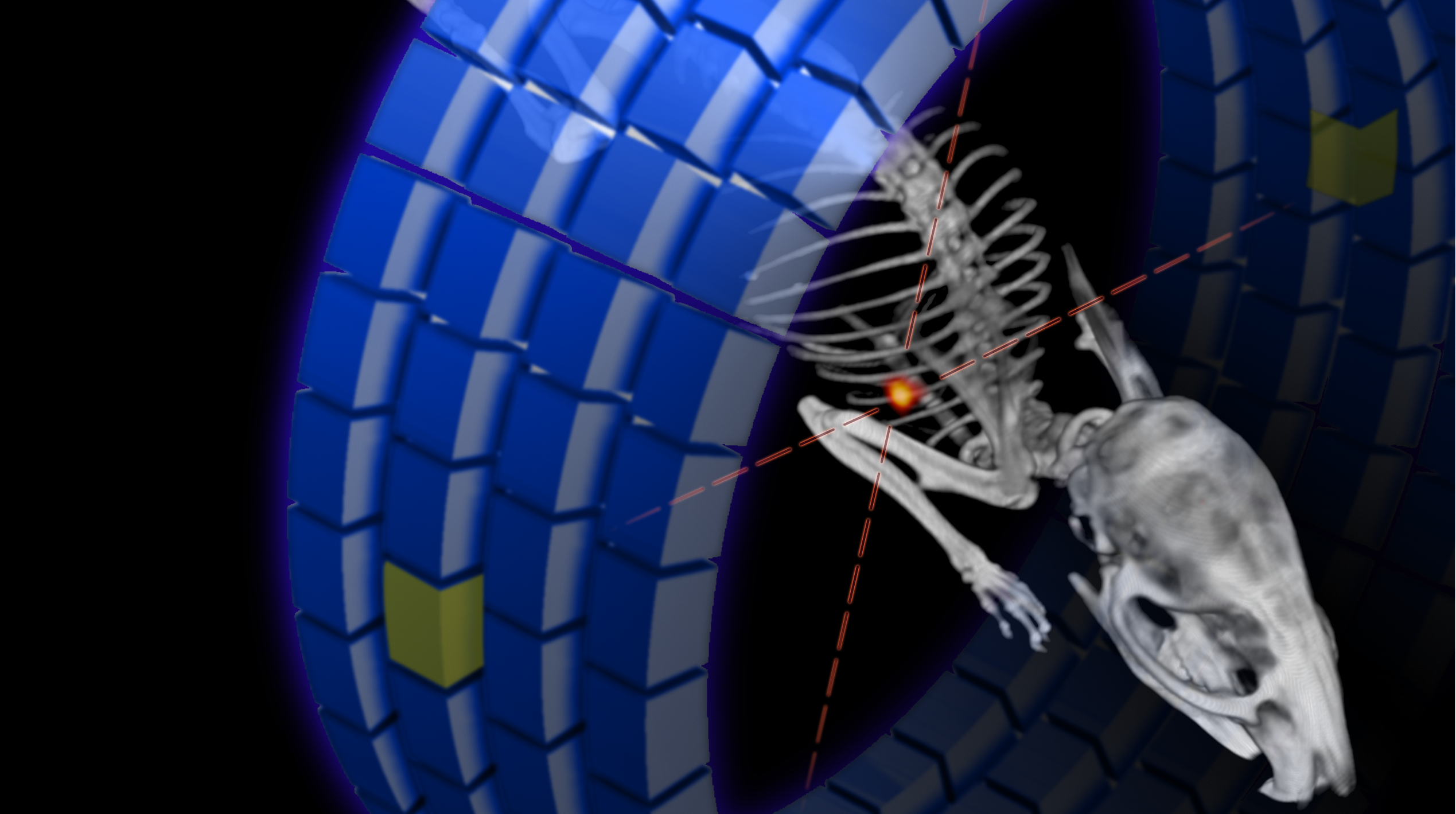 Positron emission tomography of single cells