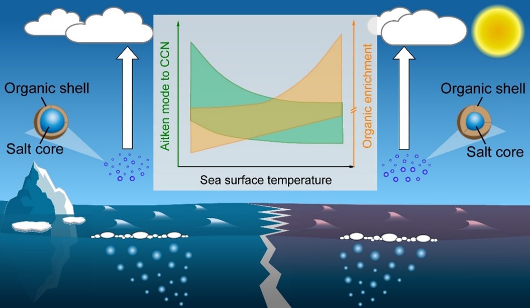 Underestimated Role of Sea Surface Temperature in Sea Spray Aerosol Formation and Climate Effects