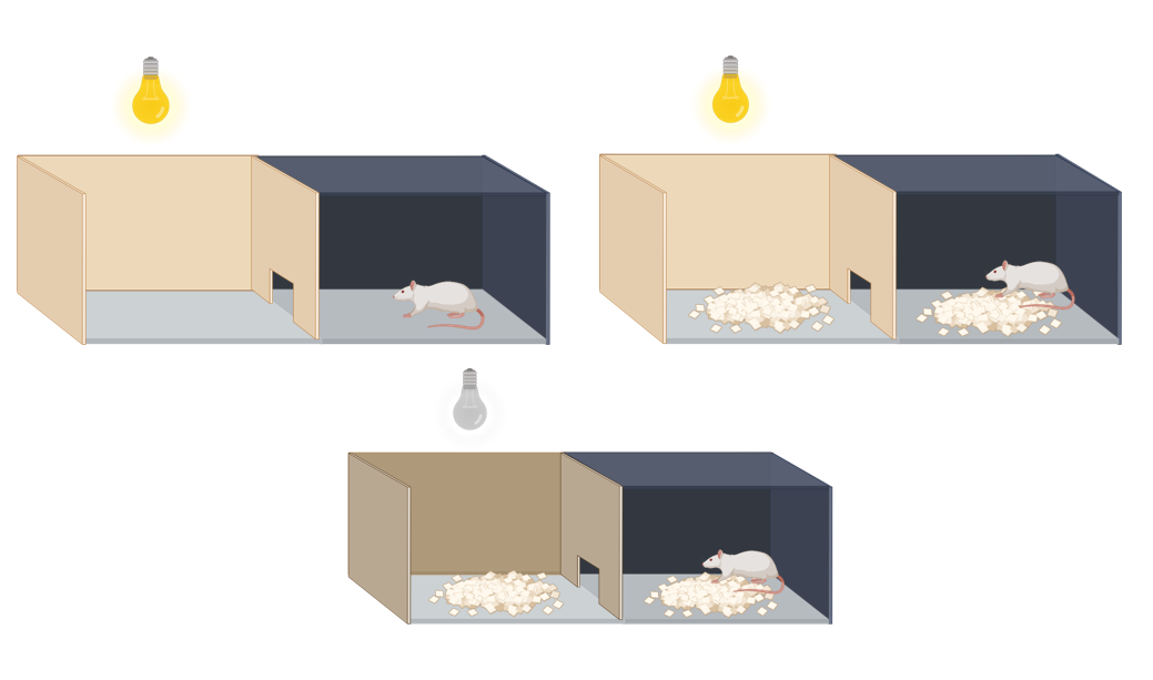 Optimization of study design to isolate light-aversive behaviour and the importance of housing conditions in rats 