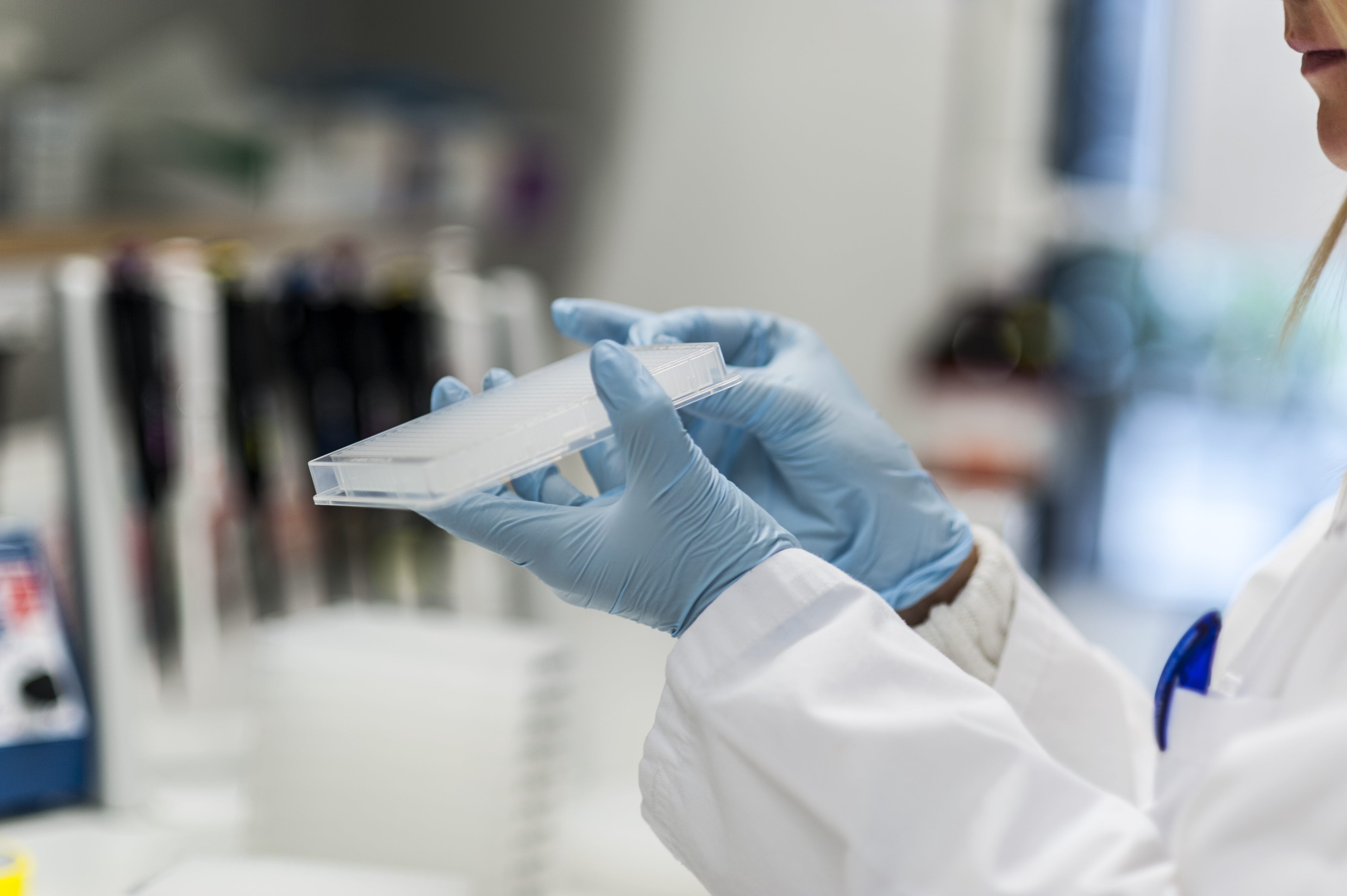 Rare Disease researcher looking for a mentor?