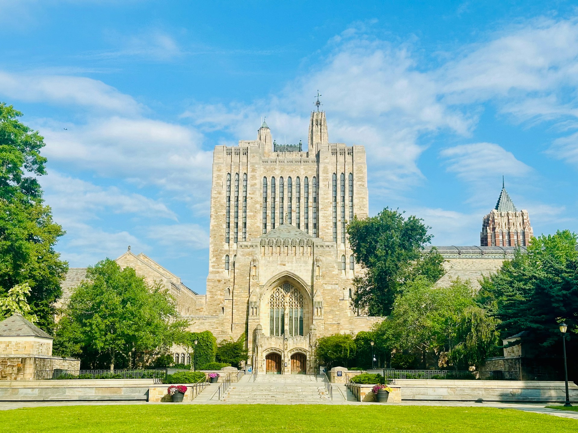 Postdoc position at Yale in plant-microbe interactions & regulatory networks