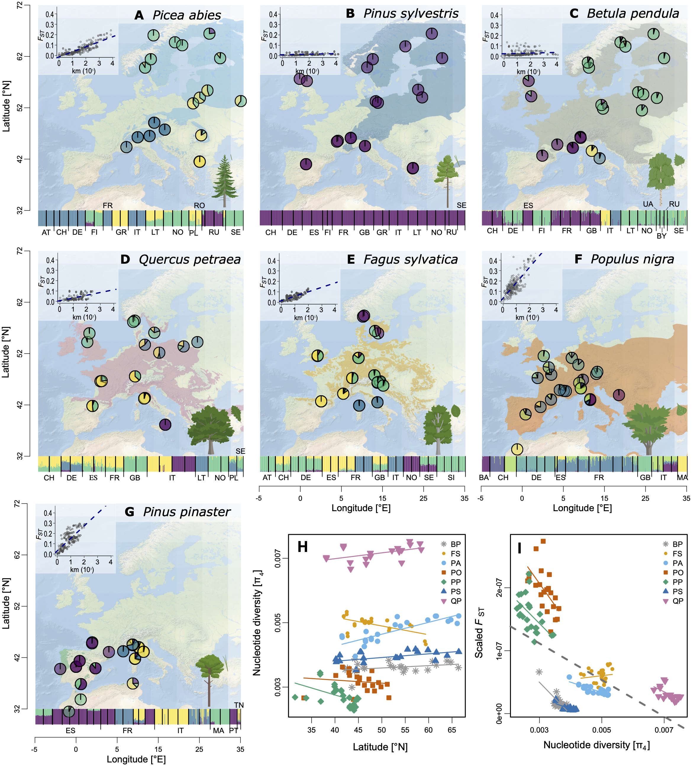 Tree population genomics. A story of 10 years of research and 10 million years of evolution