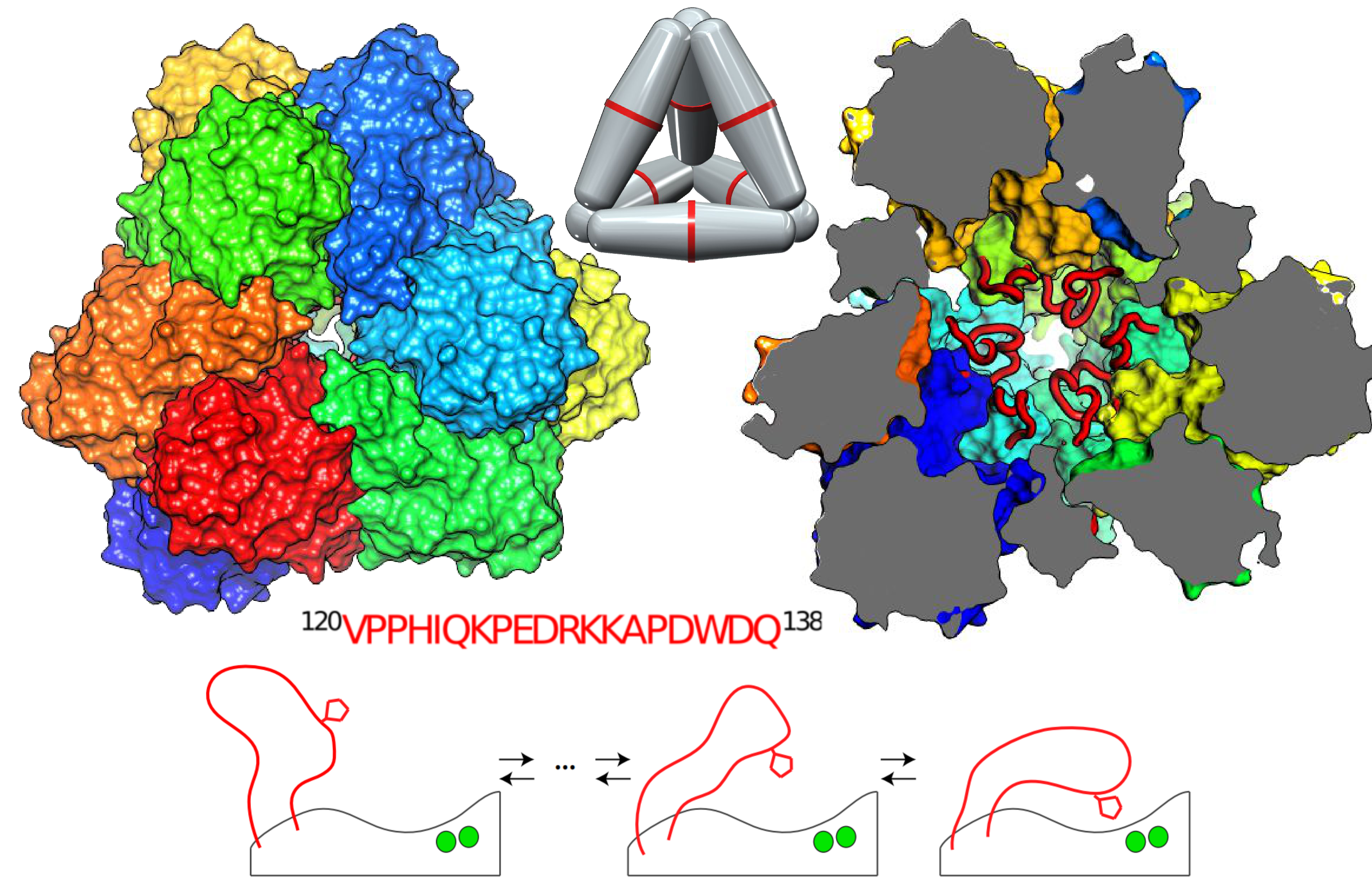 Functional hints from elusive motifs 