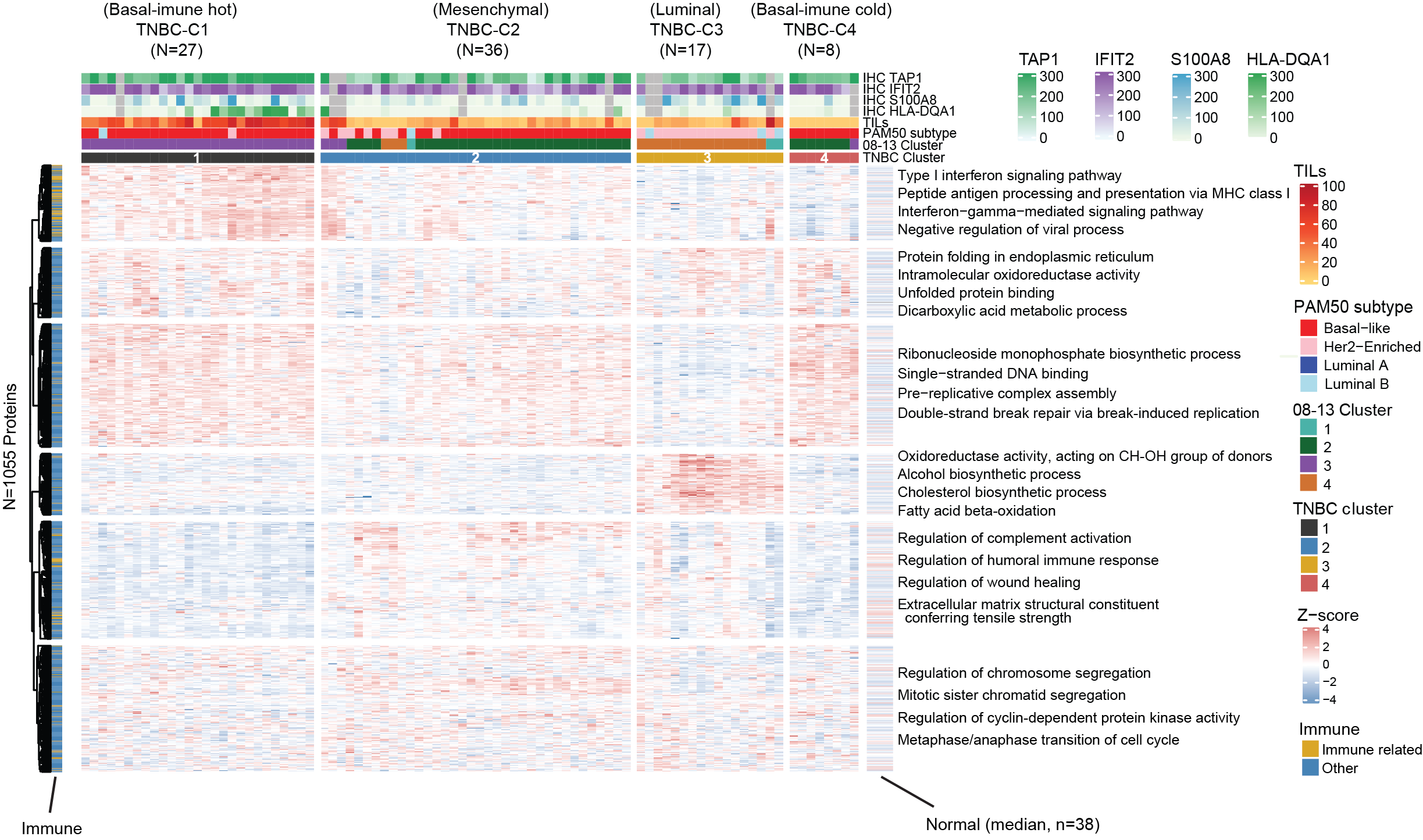 Proteomic analysis of archival breast cancer clinical specimens identifies biological subtypes with distinct survival outcomes