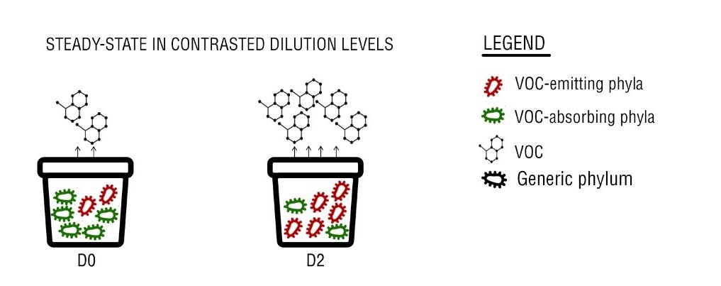Reduced microbial diversity in soil increases Volatile Organic Compound (VOC) emissions from soil