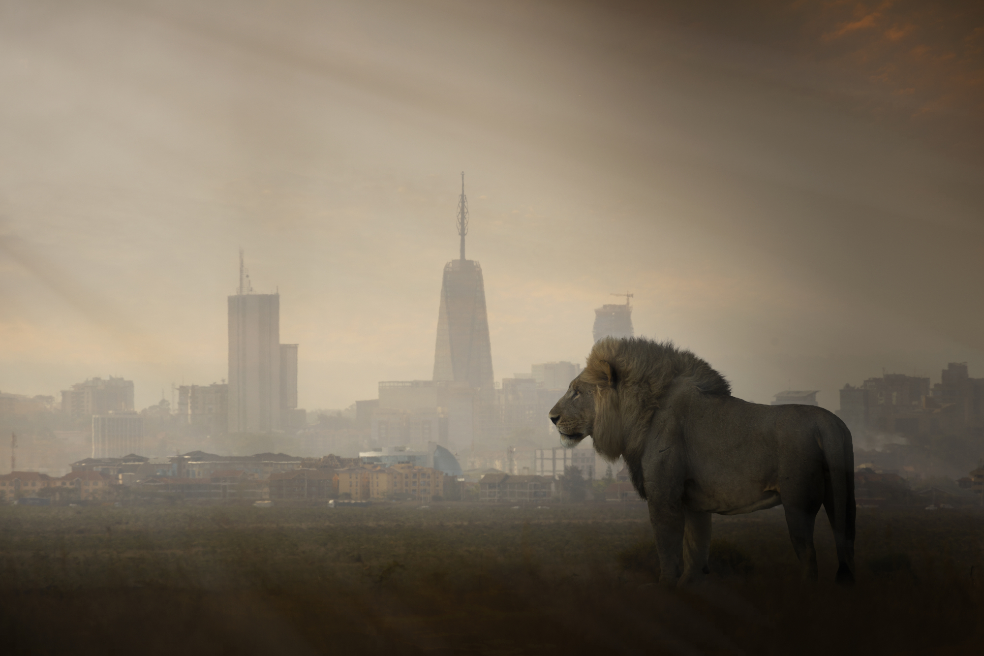 Call for papers: Brain and body physiology in changing ecosystems