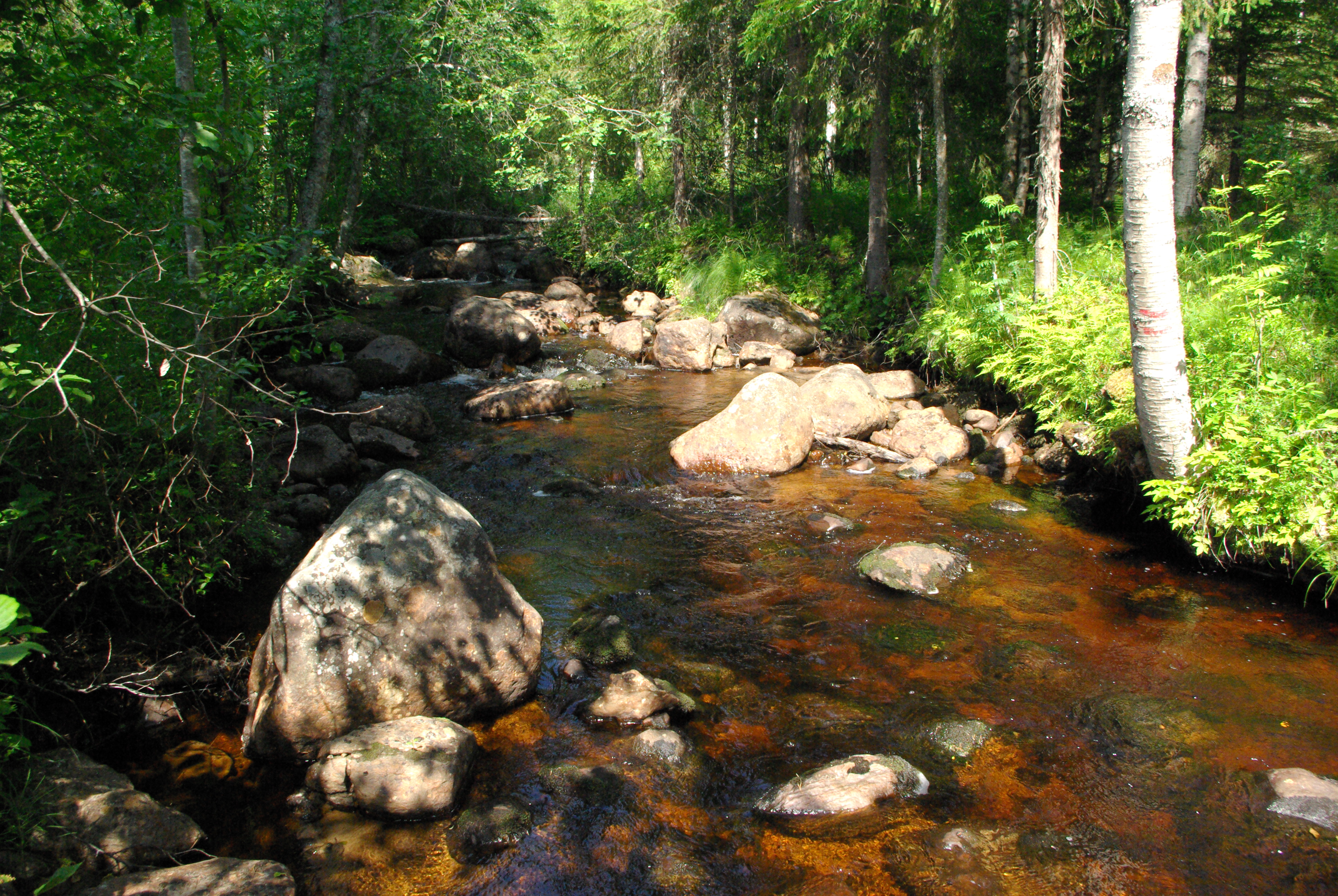 When boreal landscapes experience prolonged dry periods