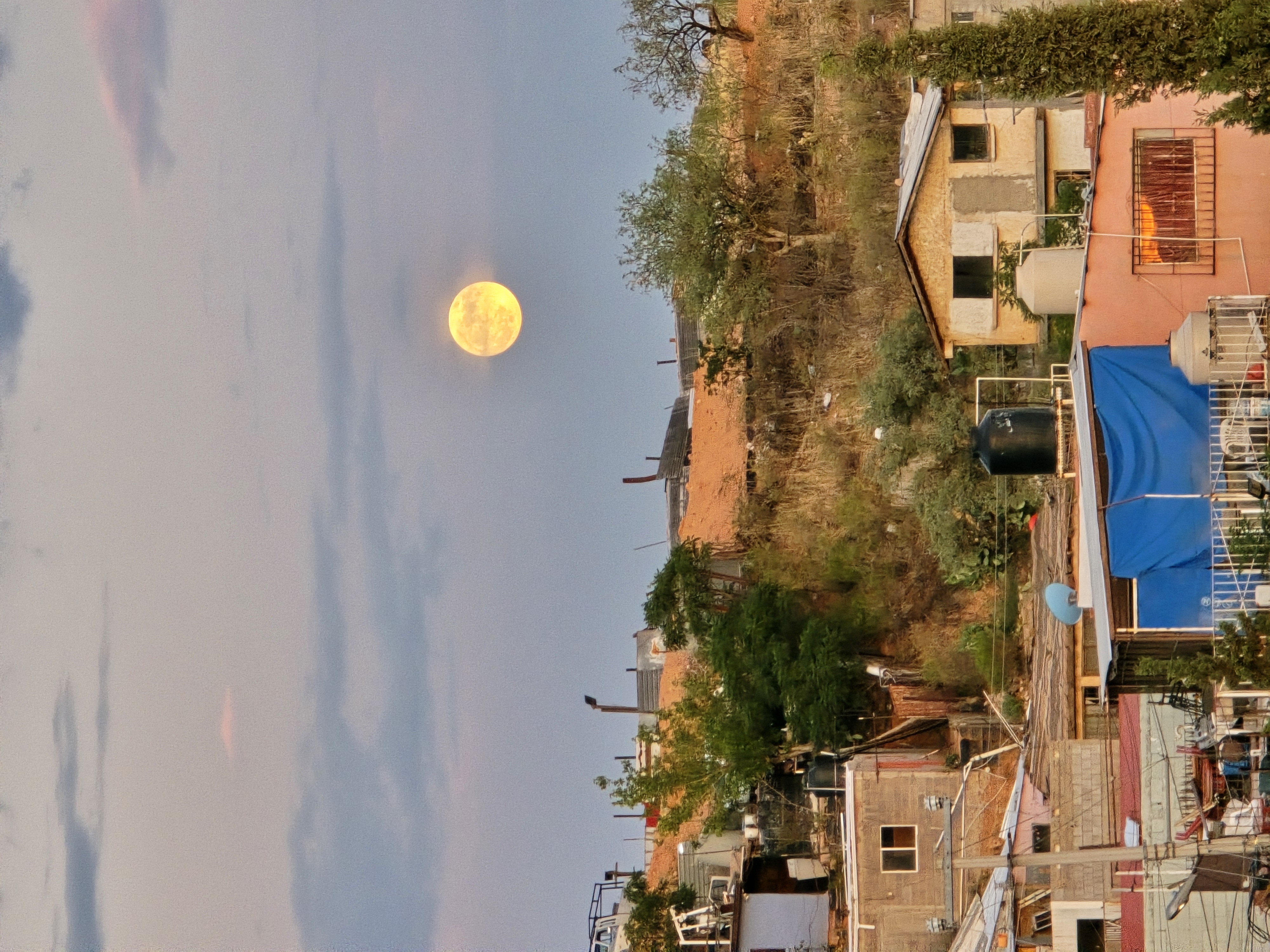 LiA Reflection Week 2.5: Asylum and CBP