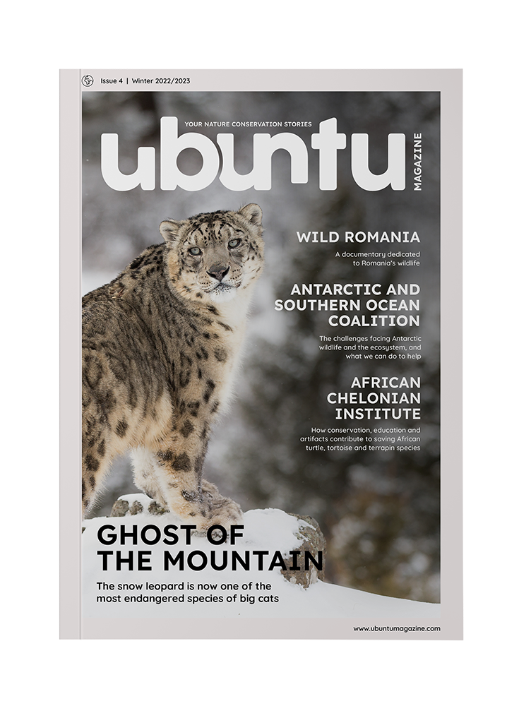 Ubuntu Magazine issue 4 is now out!