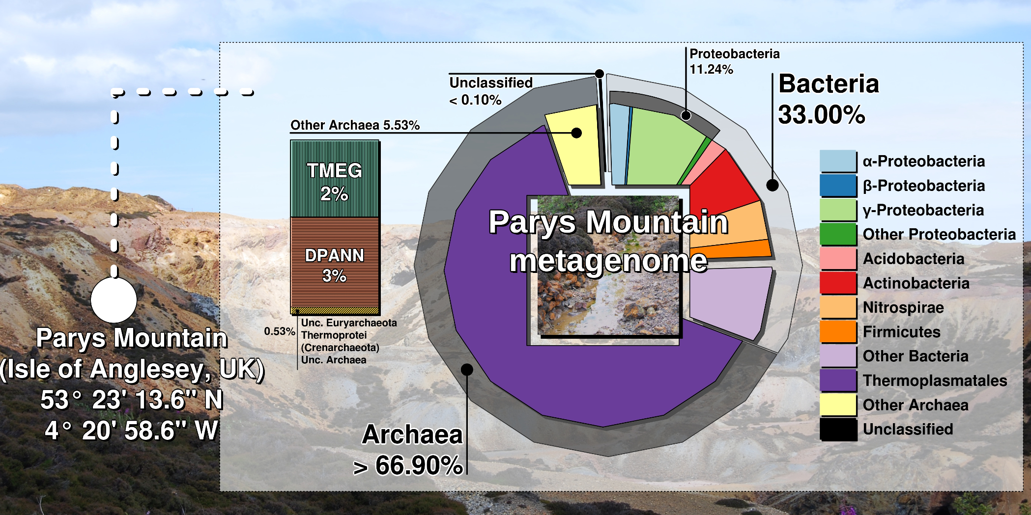 Unexpected predominance of Archaea in a cool hyperacidic environment.
