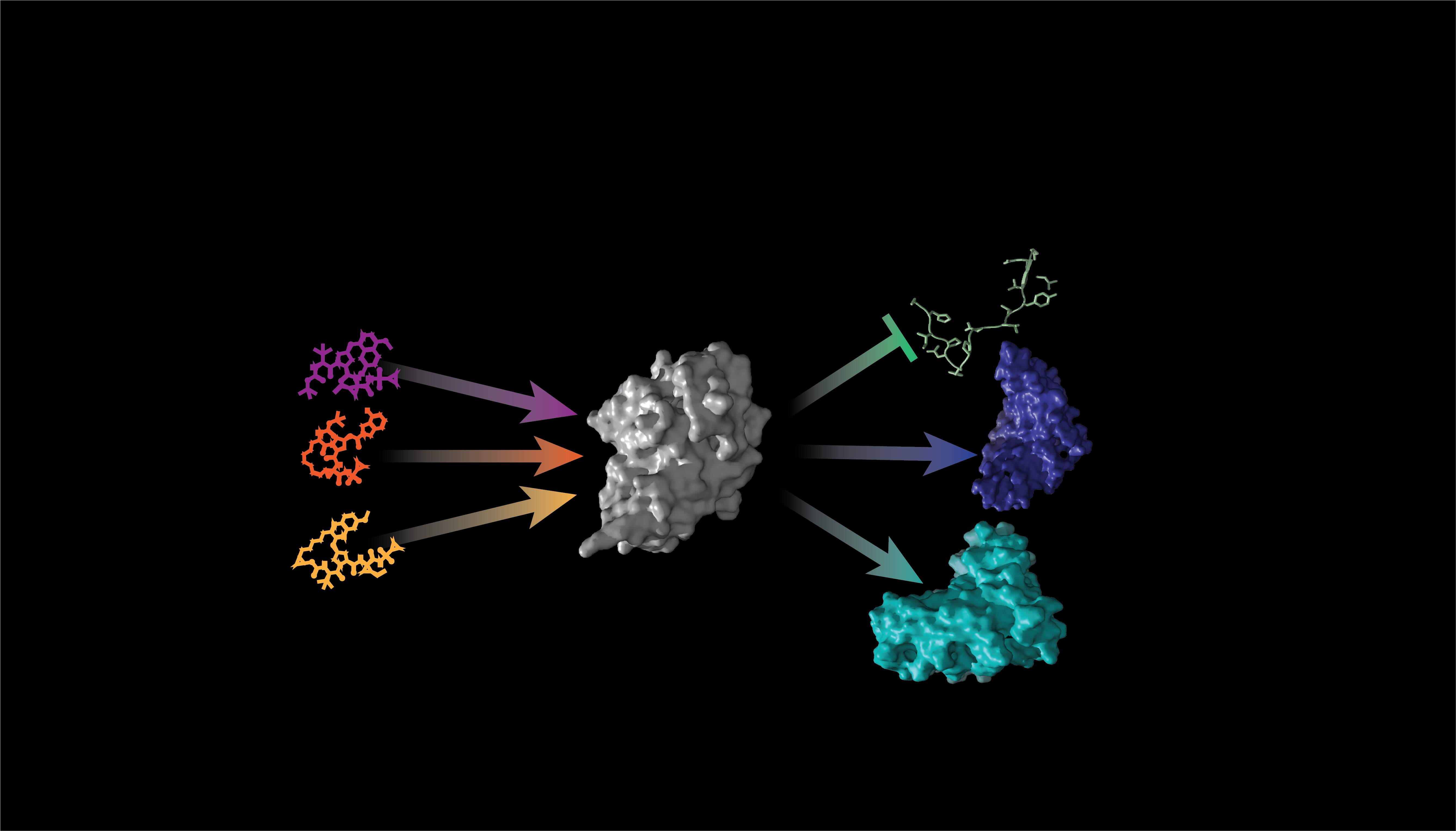 Multi-input chemical control of protein dimerization for programming graded cellular responses