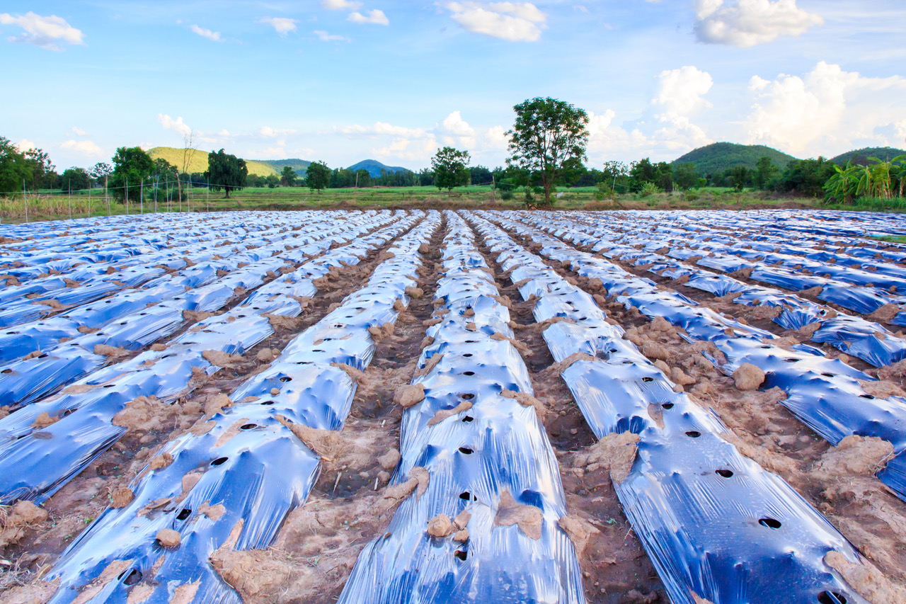 Improving our understanding of polymer biodegradation in soils using stable isotope labelling