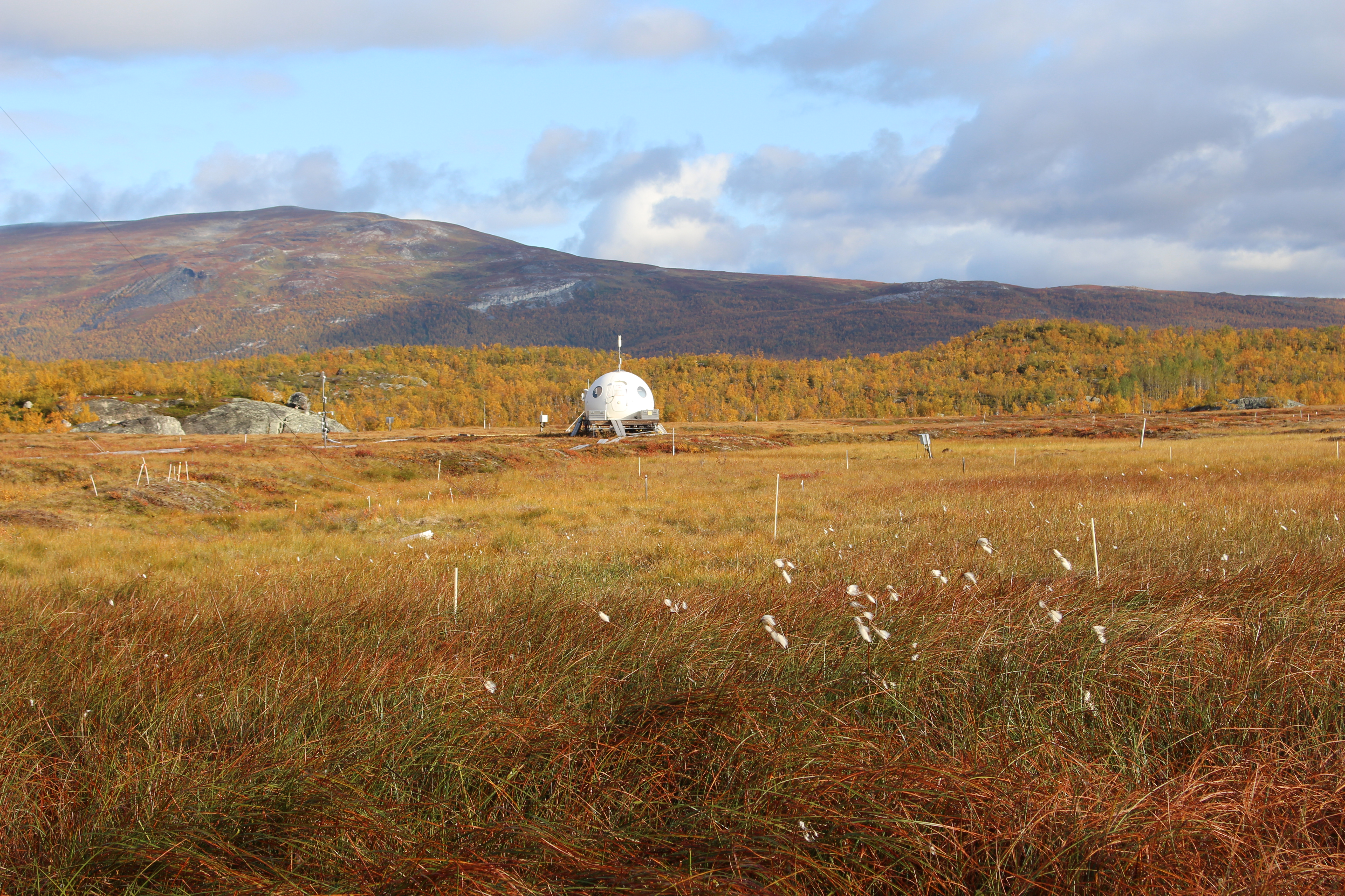 How microbes trigger greenhouse gas emissions before complete permafrost thaw