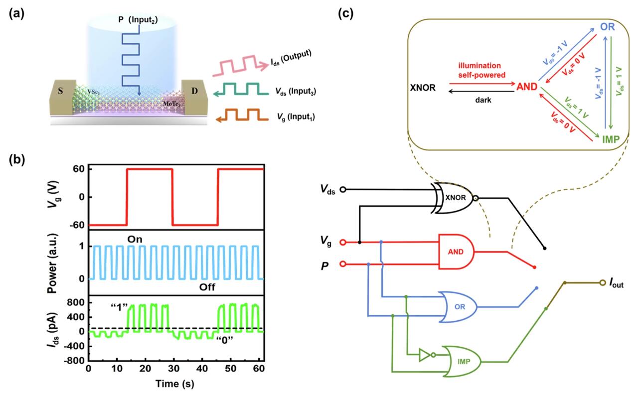 2D Schottky junction device reveals optoelectronic reconfiguration concept