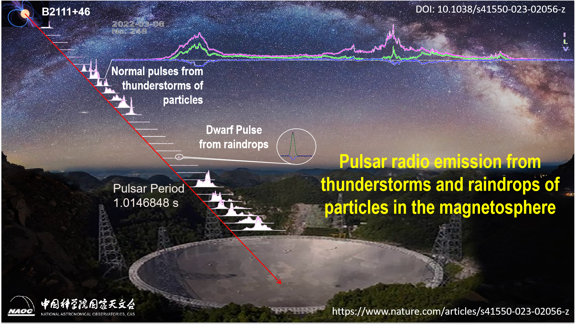 Dwarf Pulses from pulsar B2111+46