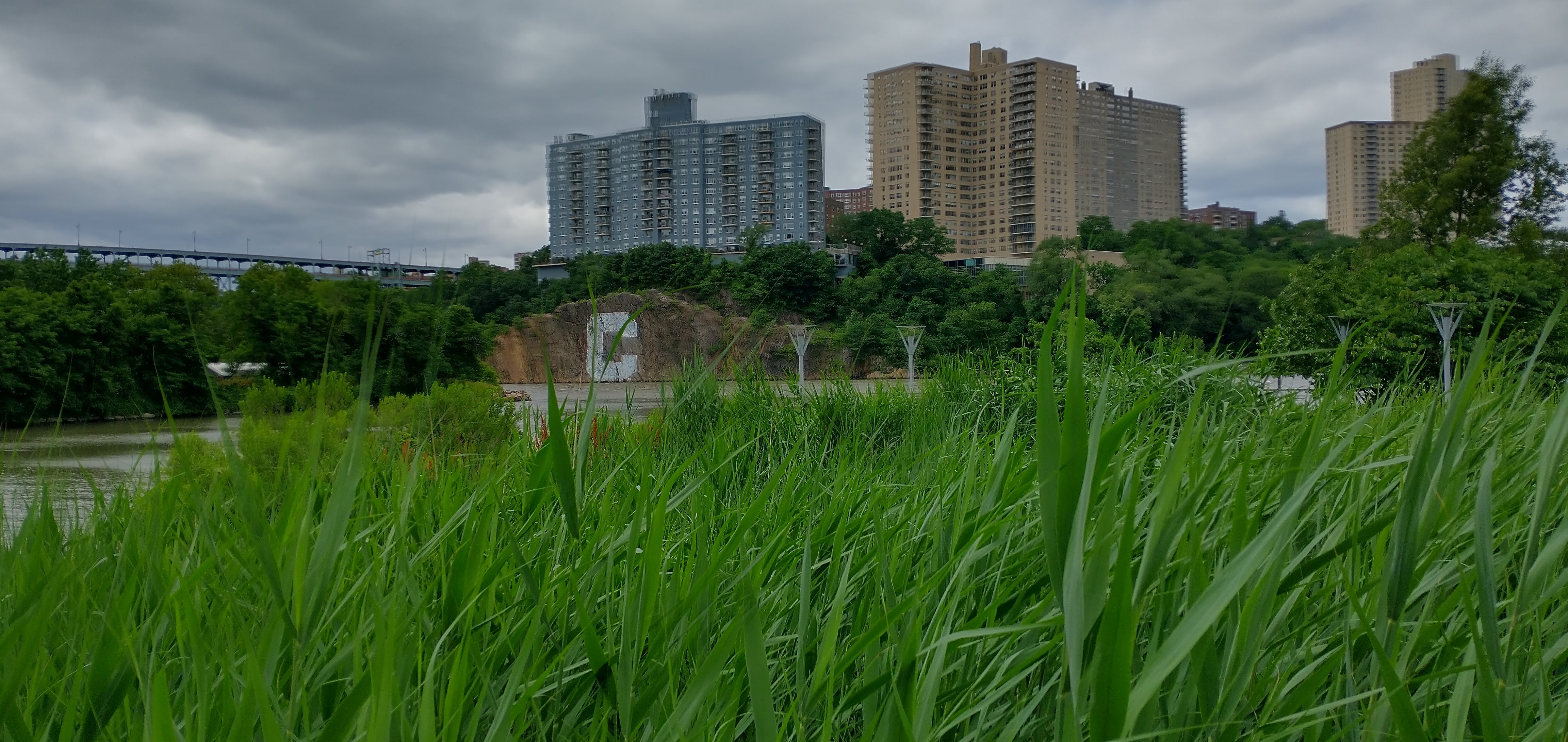 Mapping Ecotourism in NYC