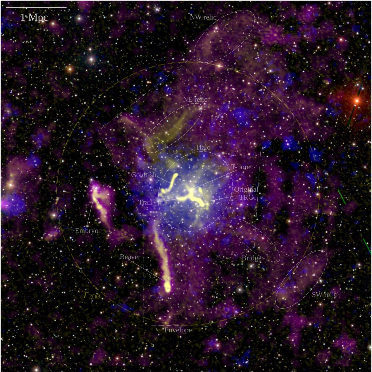 Dynamic cluster outskirts