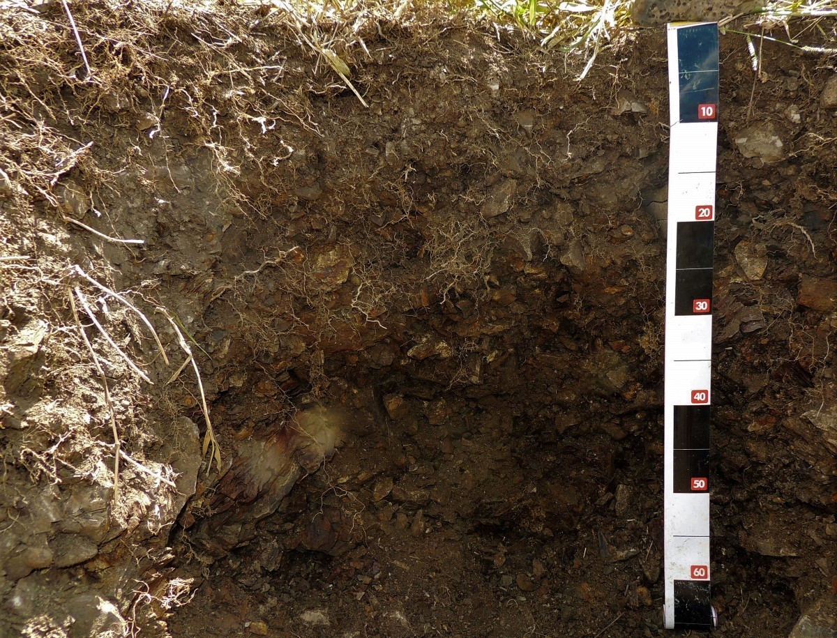 Unlocking the Potential: Waste-Based Soil Reconstruction to Tackle Carbon Dioxide Emissions in Mining