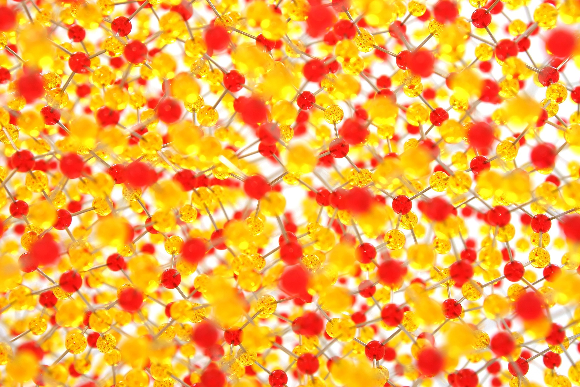 Celebrating 5 Years of Communications Biology: An interview with Dr. Wendy Gordon on mechanosensation and mechanotherapeutics