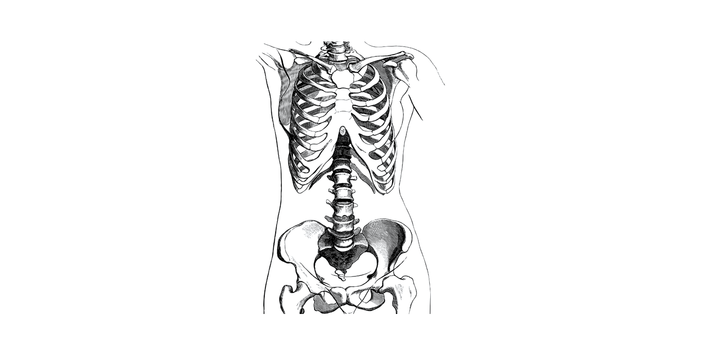 Improvements in bone mineral density after 5 years of anastrozole use in women at high risk of developing breast cancer