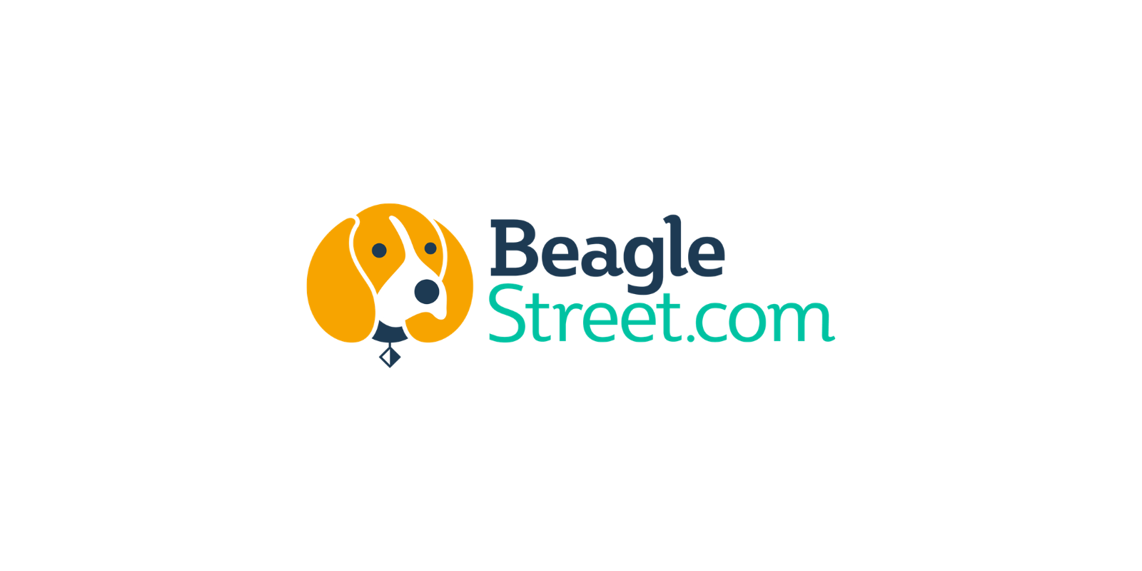 Beagle Street launches into the intermediary market