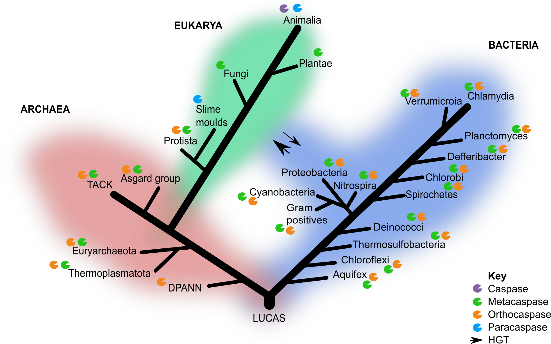 Life’s ‘original sin’ allowed the emergence programmed cell death in the earliest cellular organisms
