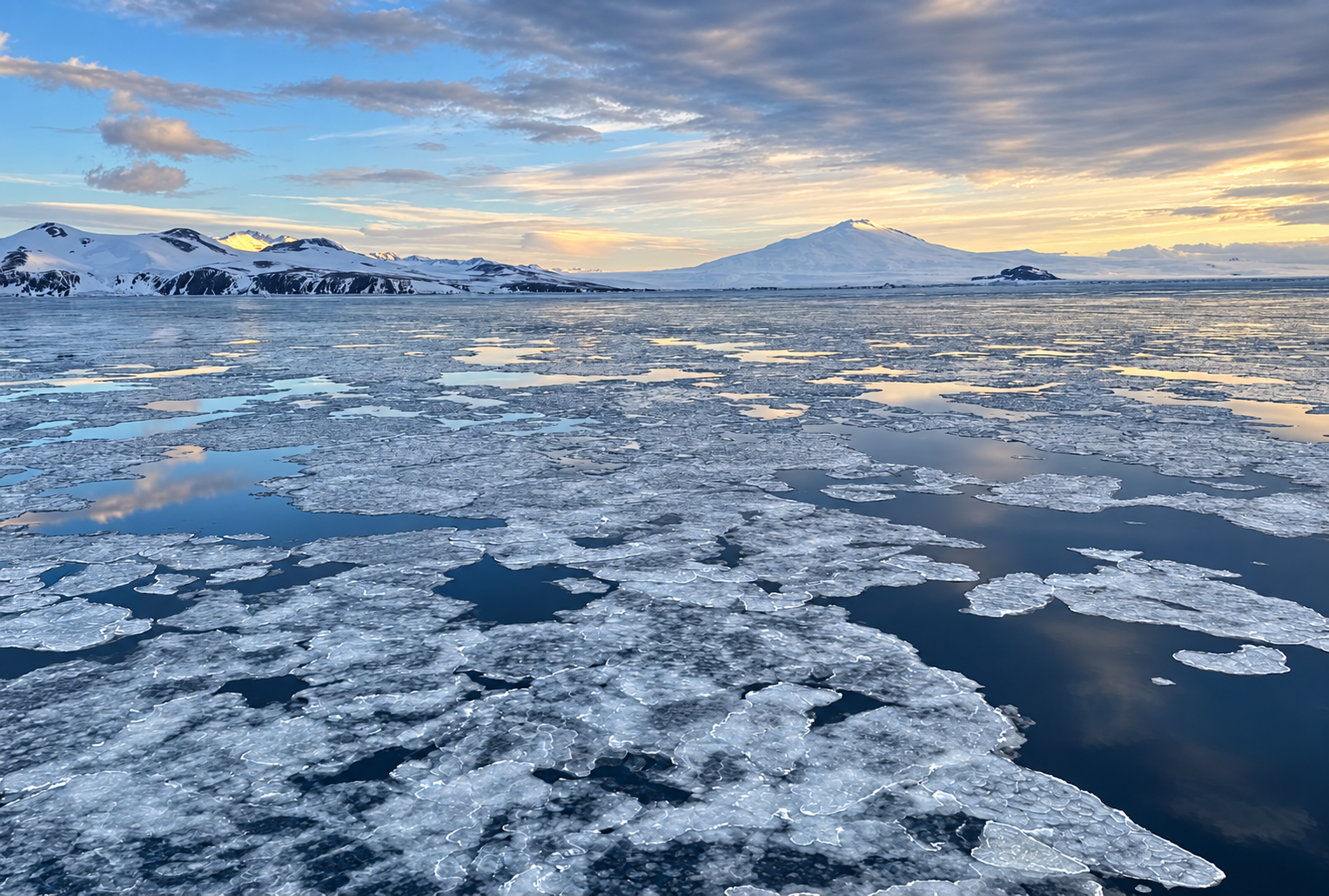 Deep Below, Far Beyond: The Reach of Antarctic Sea-Ice Loss