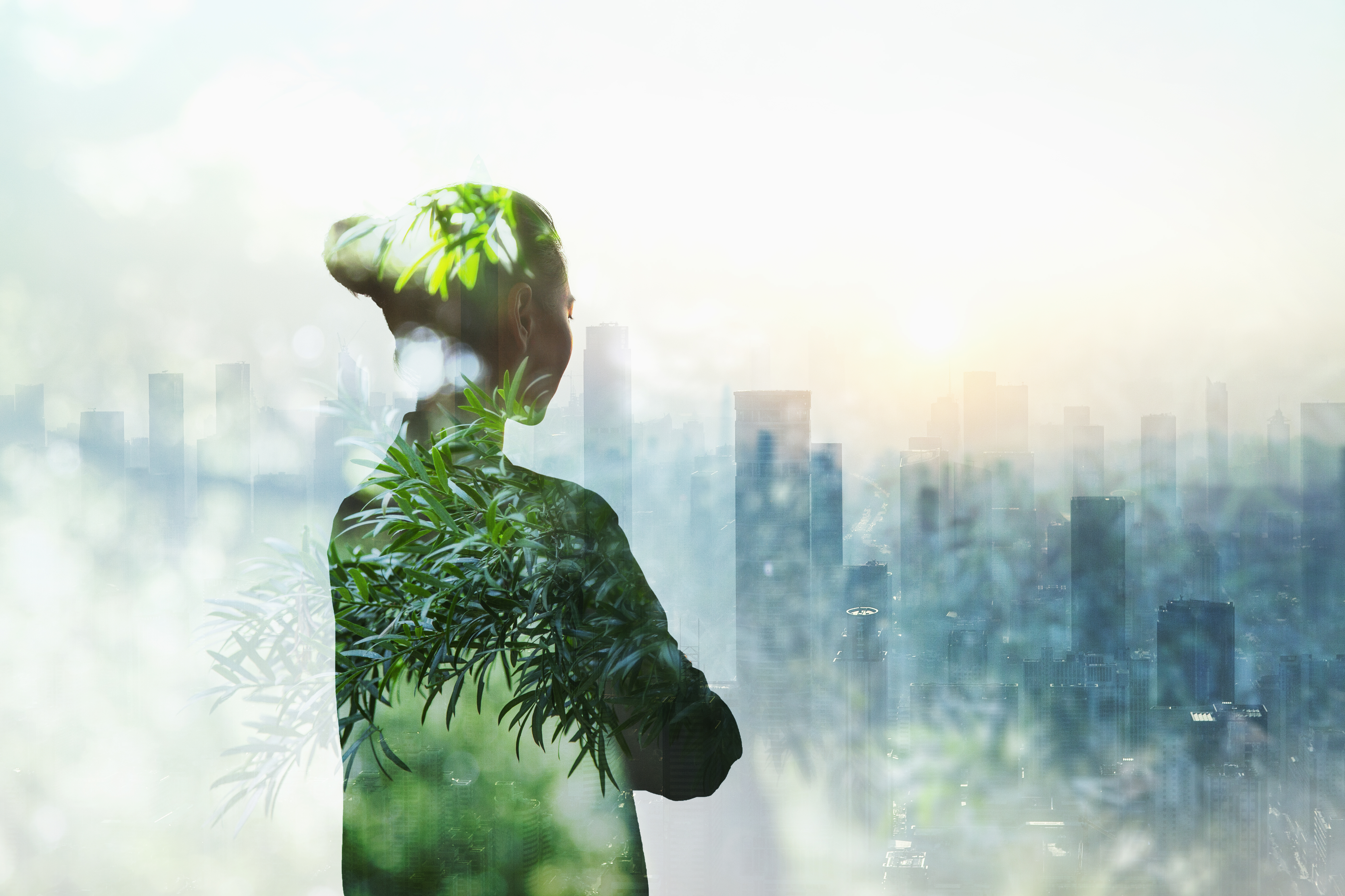Webinar | Conservation career switch success stories