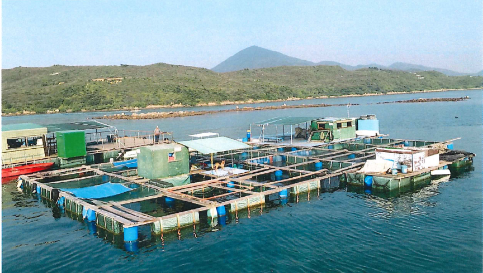 Subsidized veterinary extension services may reduce antimicrobial resistance in aquaculture