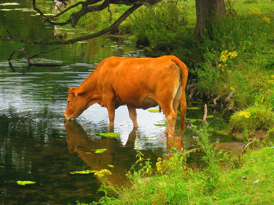 For water sustainability, measure ‘Water conserved’ 