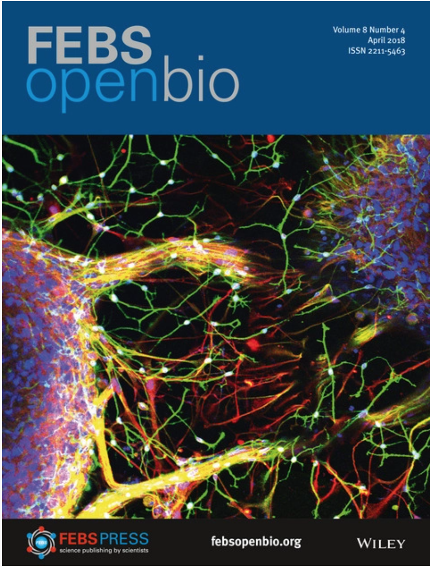A (very) brief history of FEBS Open Bio