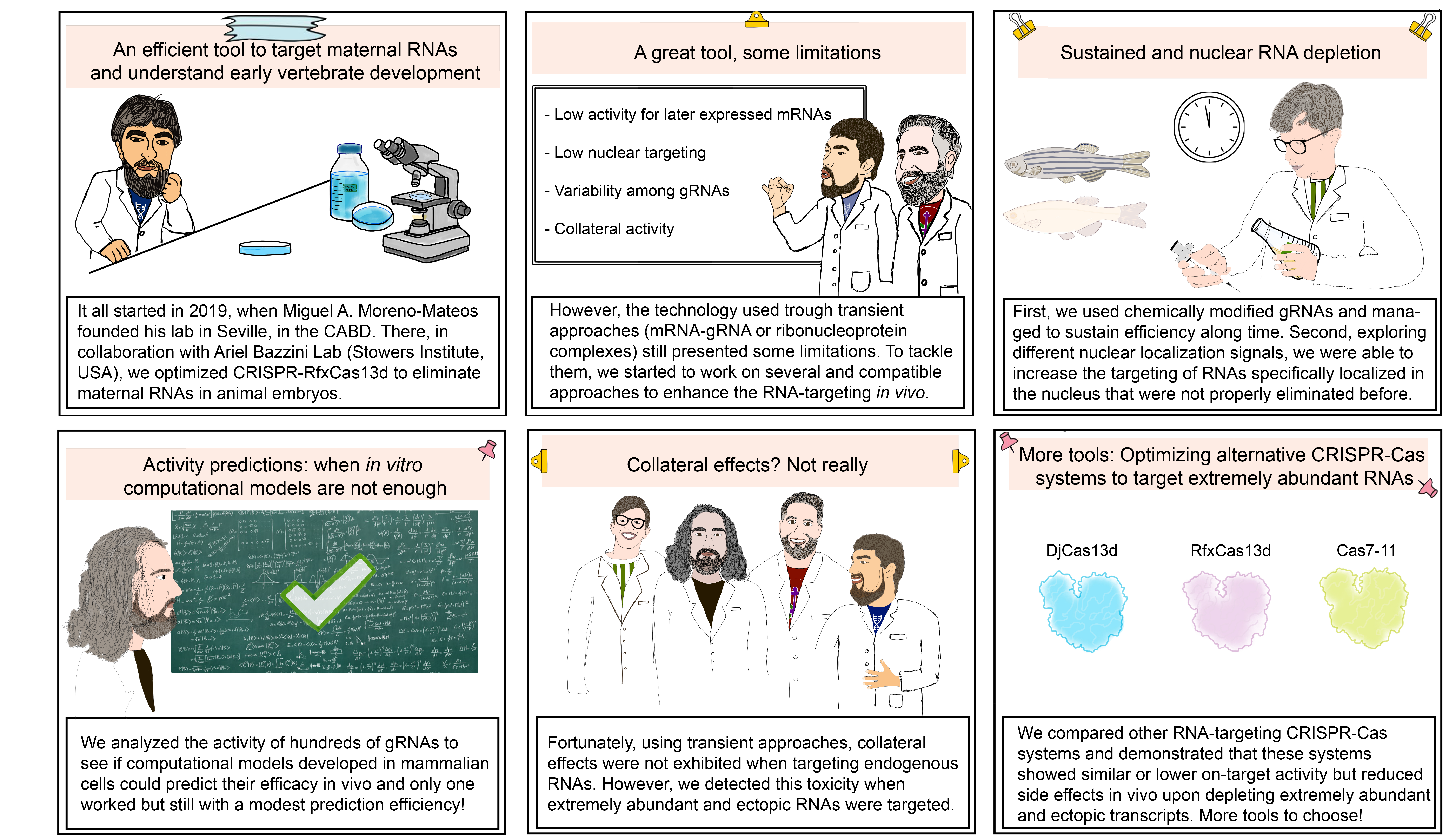 Expanding and consolidating the RNA-targeting CRISPR-Cas toolbox