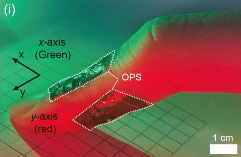 Real-time finger motion recognition using skin-conformable electronics
