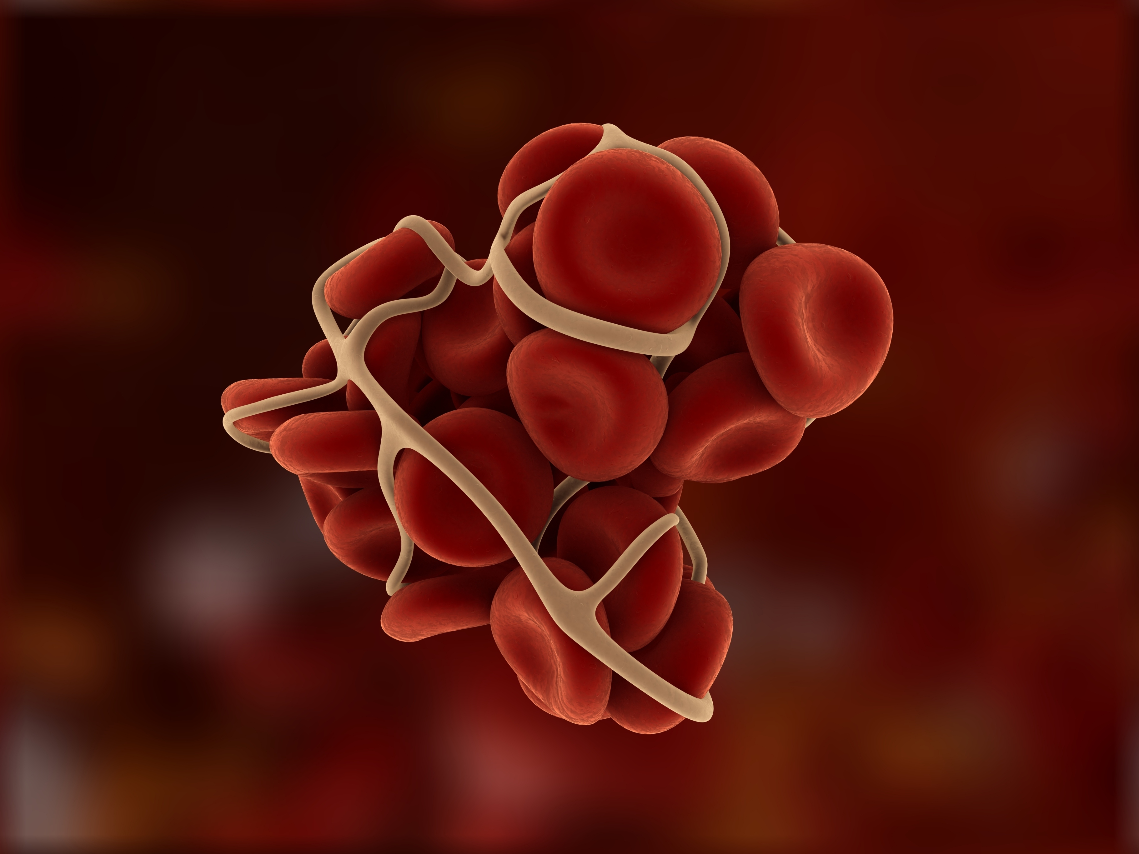 Matchmaking bispecific antibodies